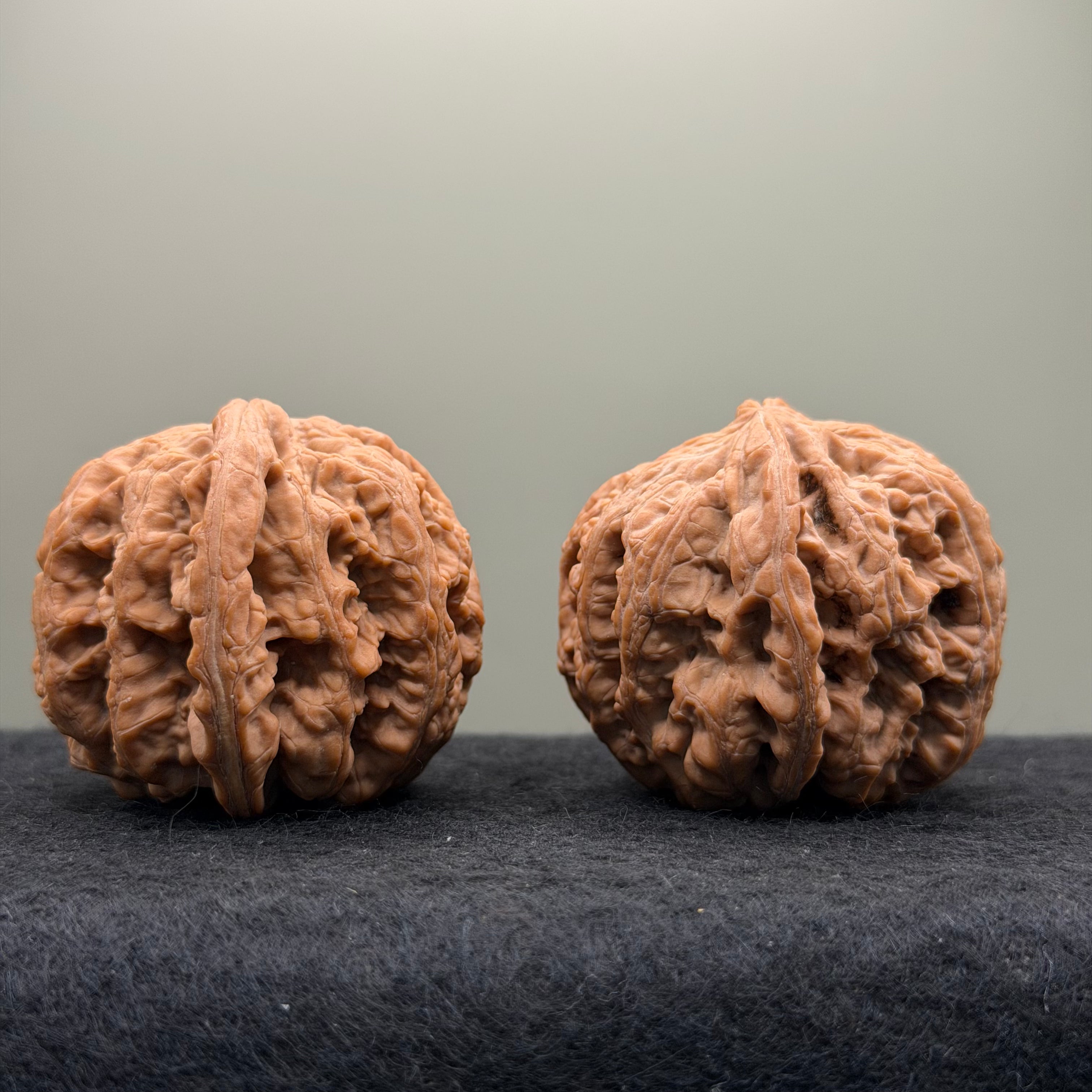 Thick Ribs Lion Head Wenwan Walnut