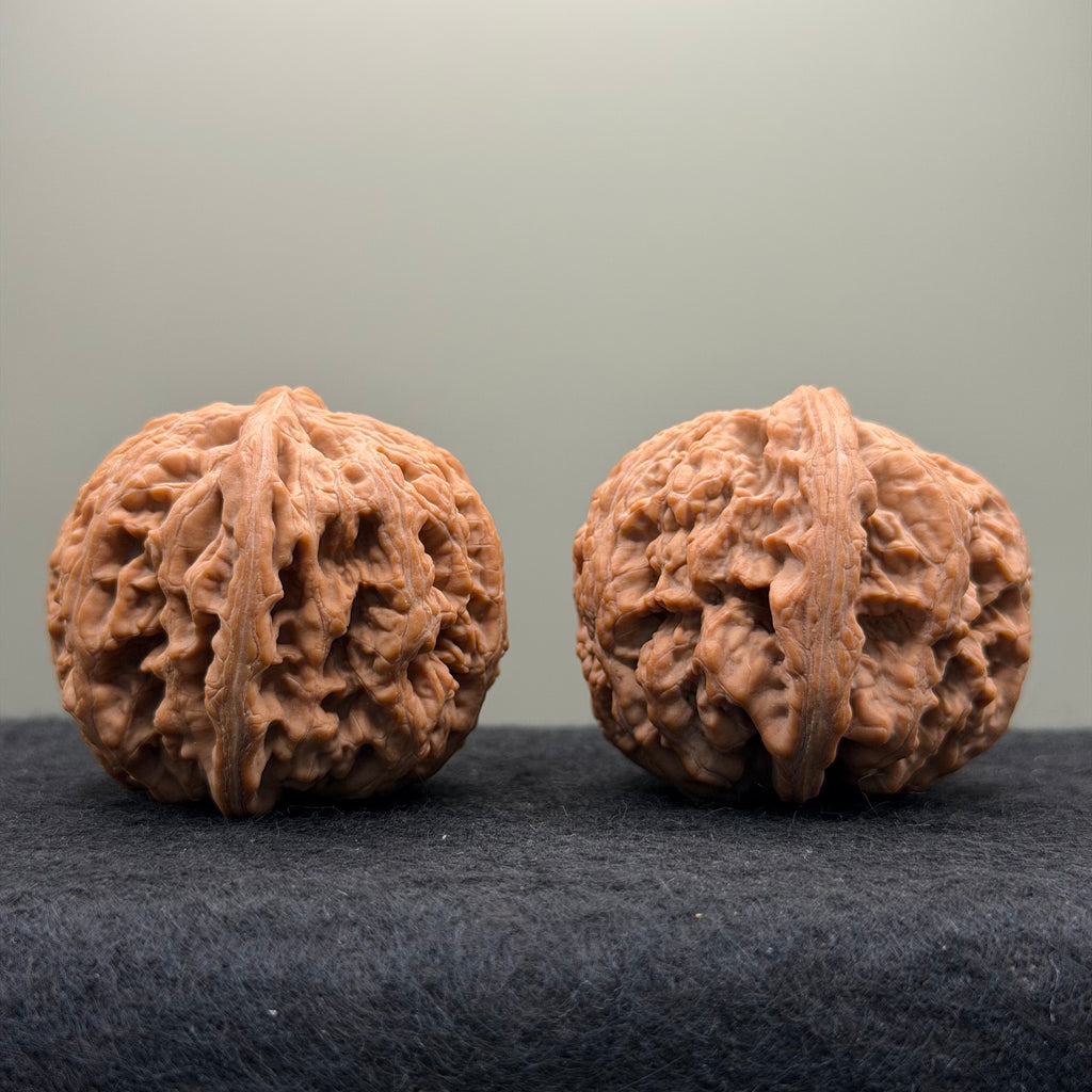 Thick Ribs Lion Head Wenwan Walnut