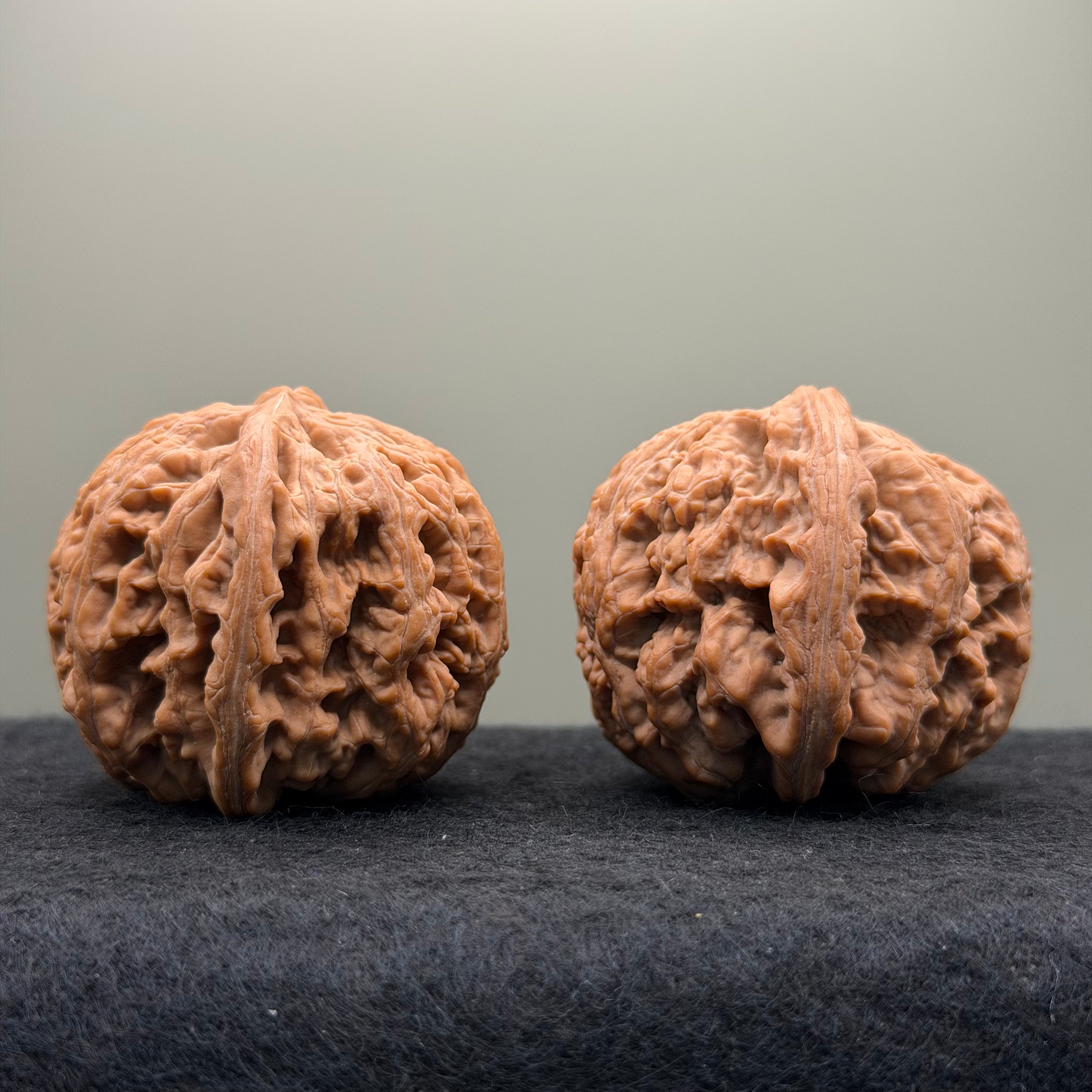 Thick Ribs Lion Head Wenwan Walnut
