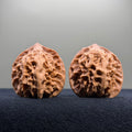 First Love Wenwan Walnut · 39mm · Natural · Select Ritual