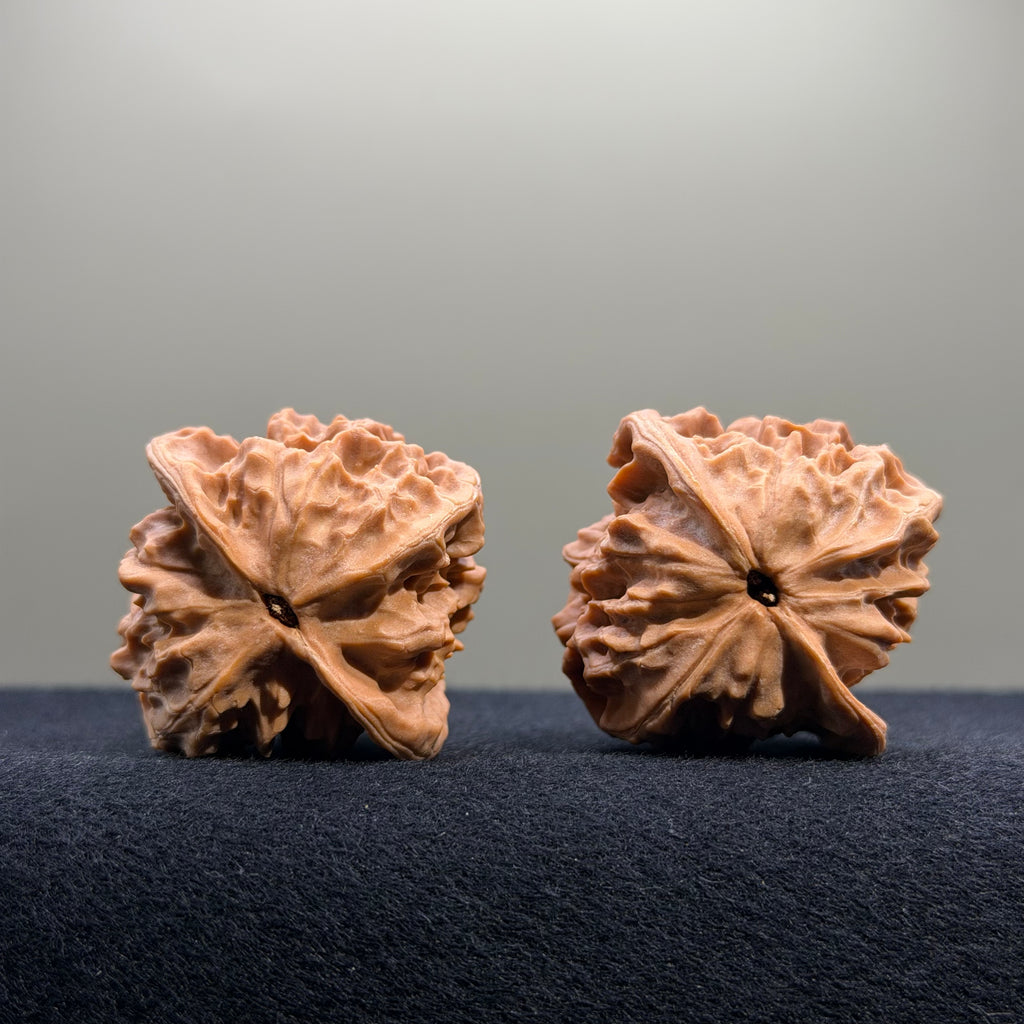 First Love Wenwan Walnut · 39mm · Natural · Select Ritual