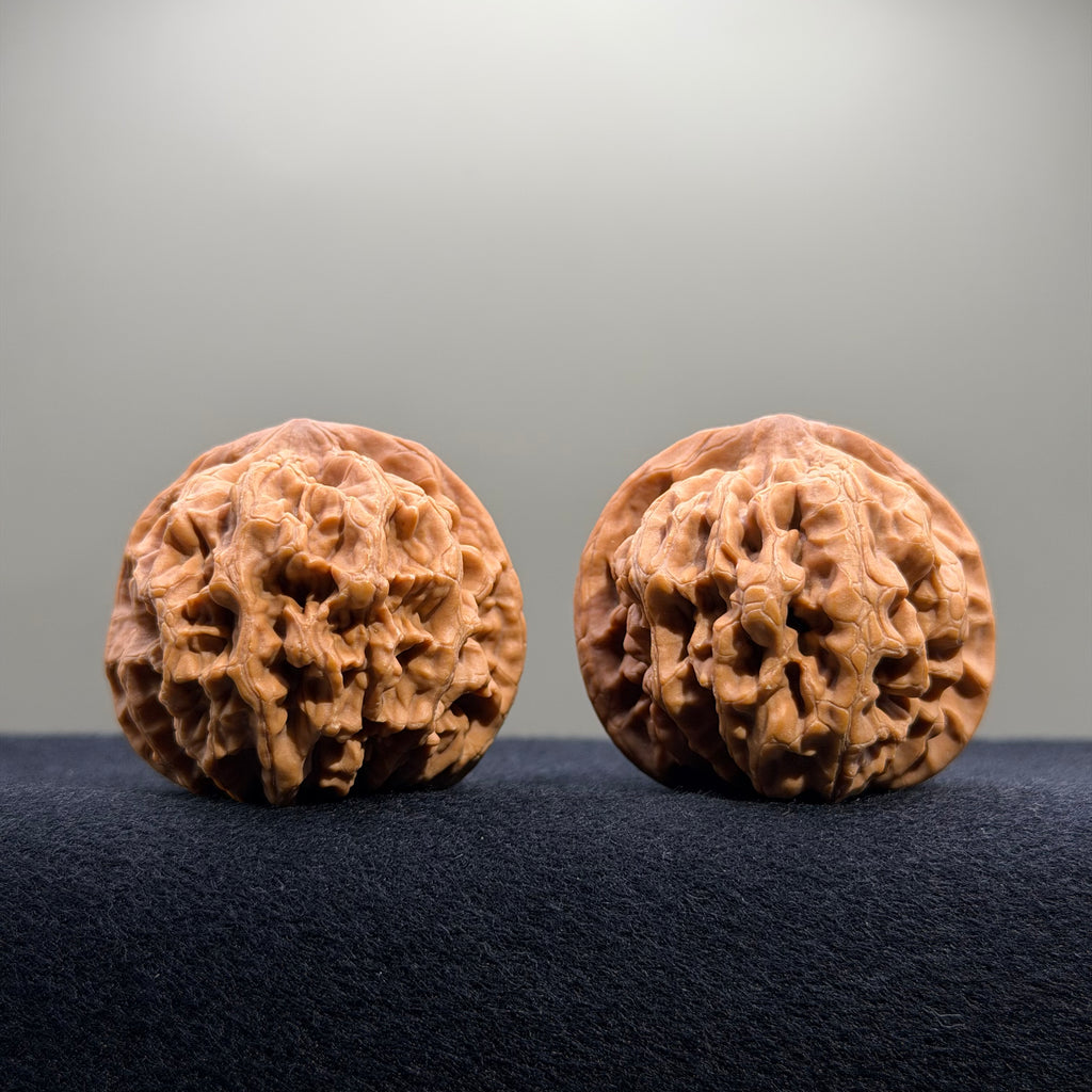 Emperor Wenwan Walnut · 43mm · Natural · Select Ritual