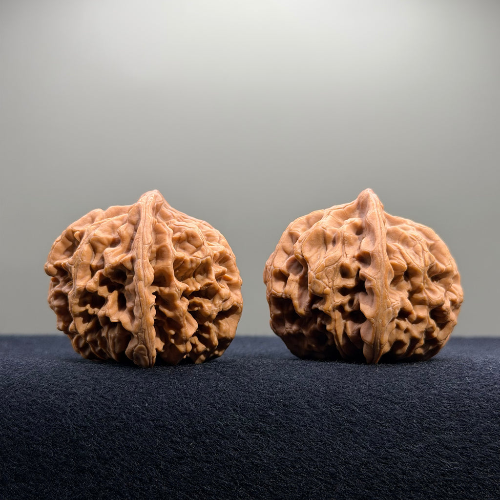 Emperor Wenwan Walnut · 43mm · Natural · Select Ritual