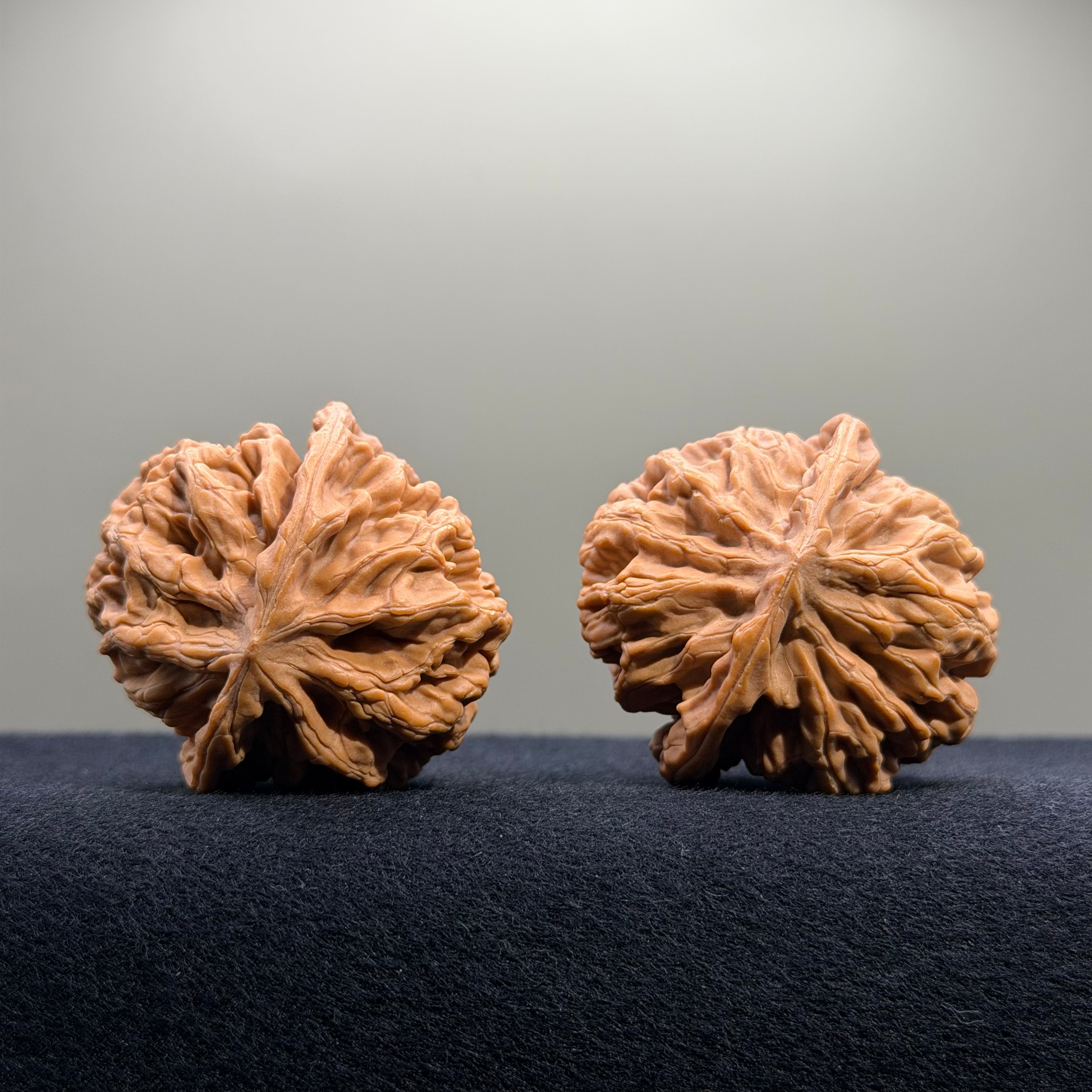 Emperor Wenwan Walnut · 43mm · Natural · Select Ritual