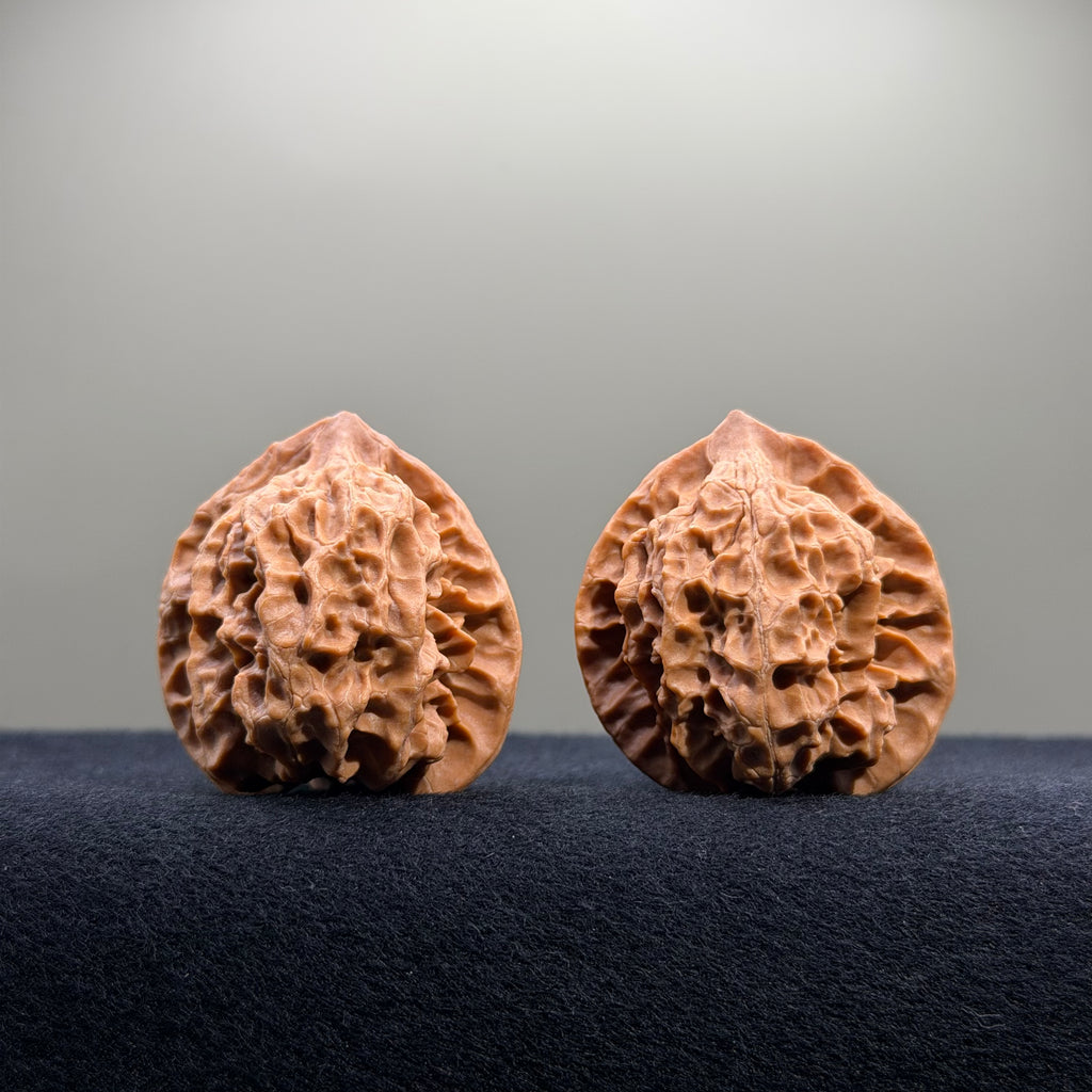 First Love Wenwan Walnut · 37mm · Natural · Select Ritual