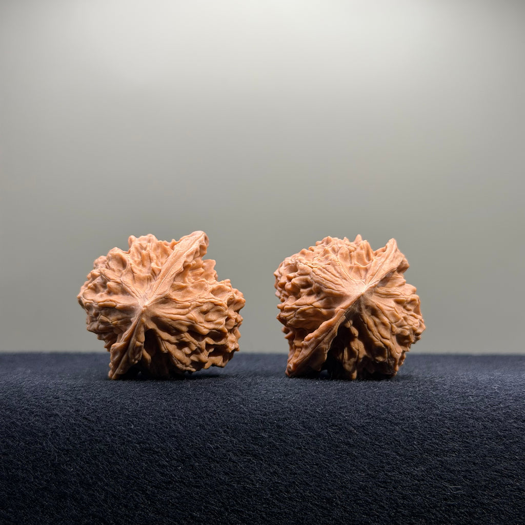 First Love Wenwan Walnut · 37mm · Natural · Select Ritual