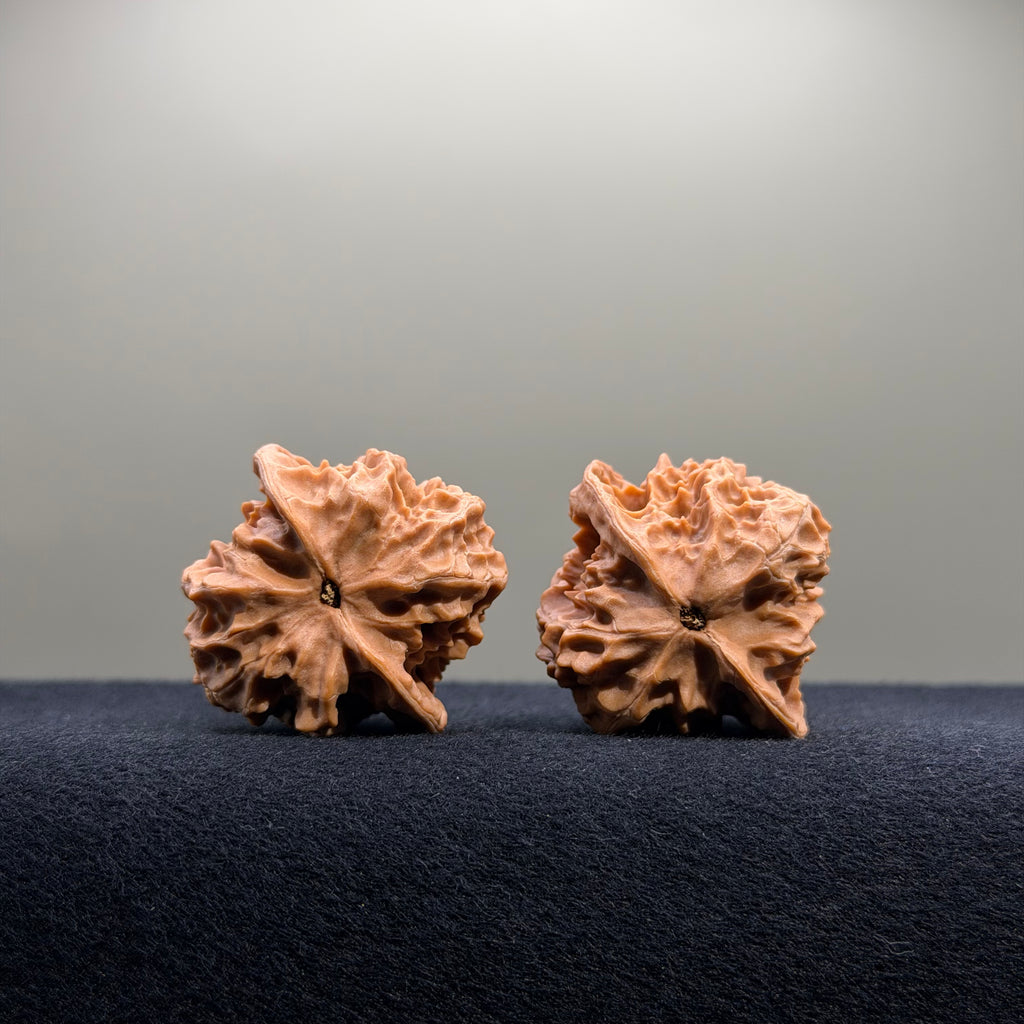 First Love Wenwan Walnut · 37mm · Natural · Select Ritual