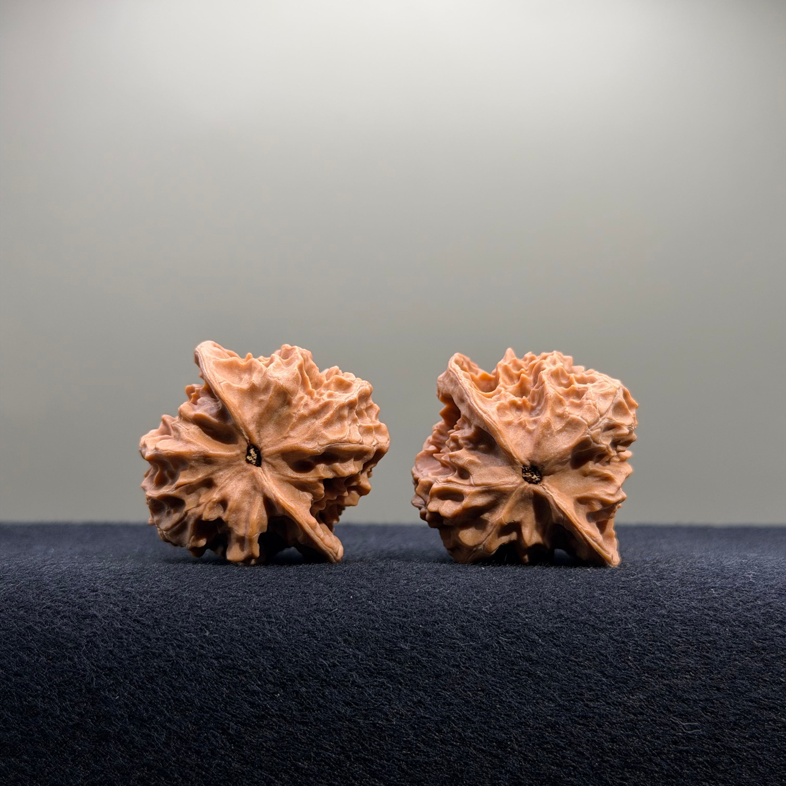 First Love Wenwan Walnut · 37mm · Natural · Select Ritual