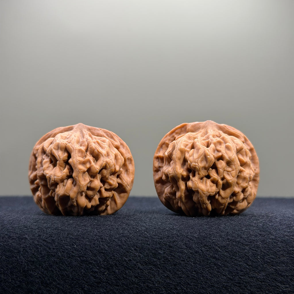 Emperor Wenwan Walnut · 35mm · Natural · Select Ritual
