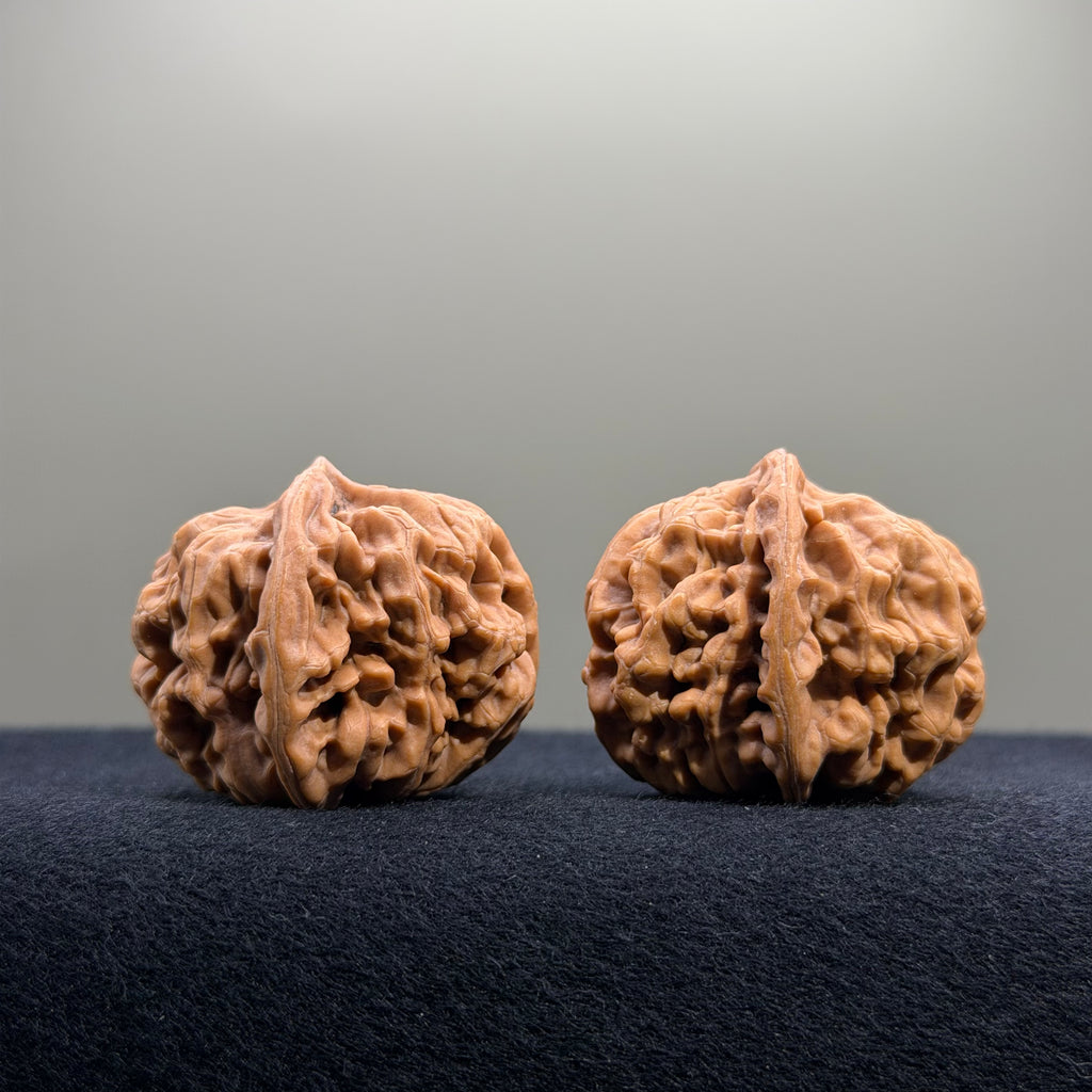 Emperor Wenwan Walnut · 35mm · Natural · Select Ritual