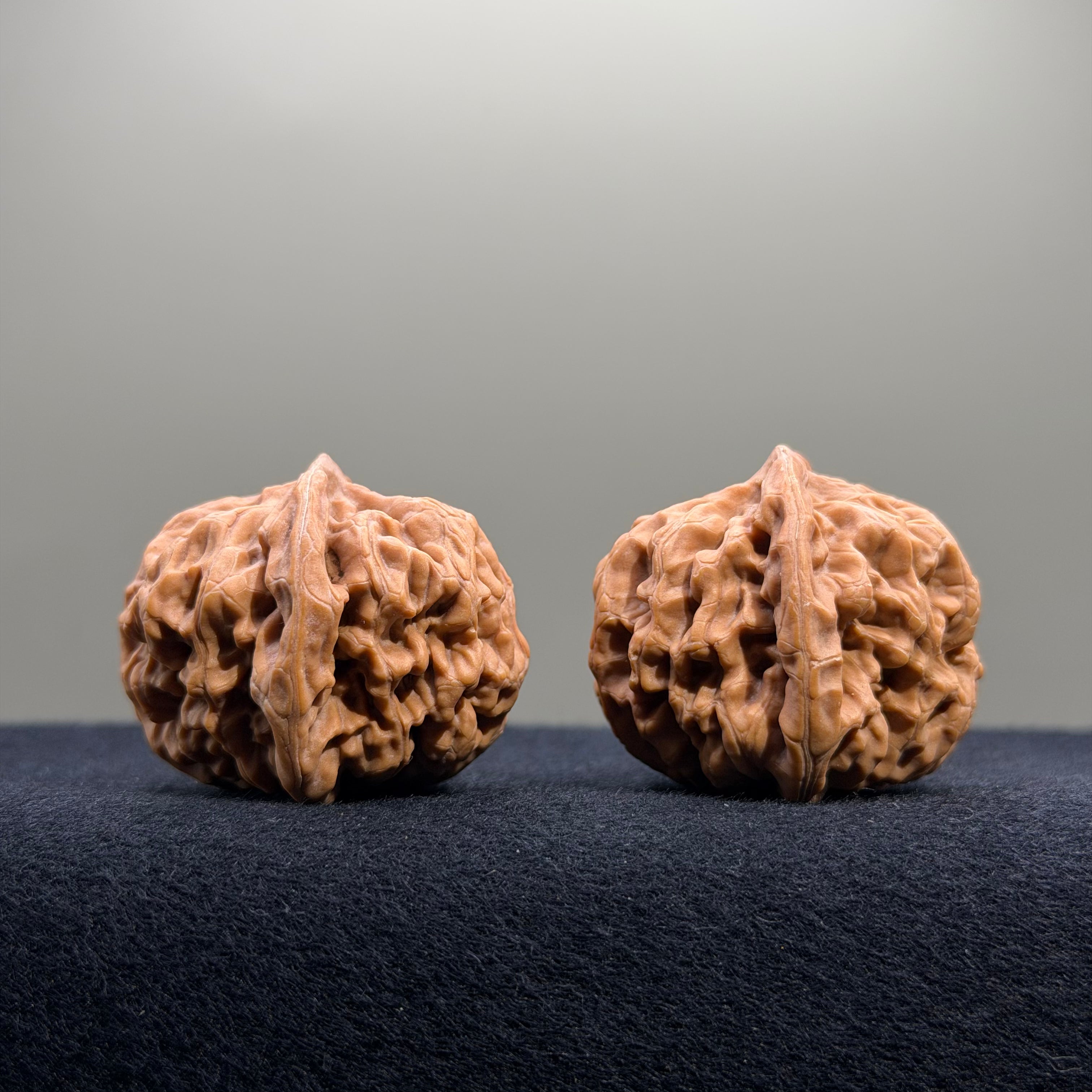 Emperor Wenwan Walnut · 35mm · Natural · Select Ritual