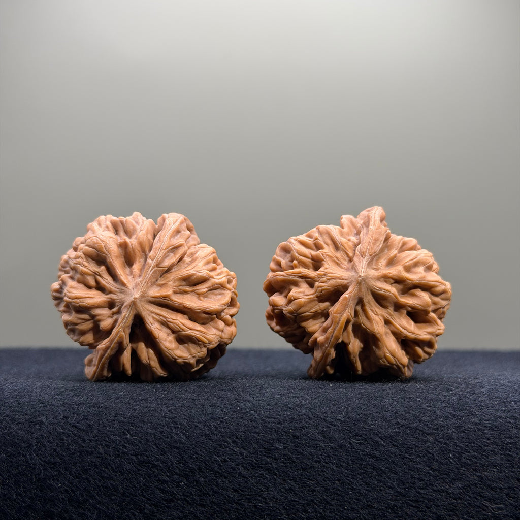 Emperor Wenwan Walnut · 35mm · Natural · Select Ritual