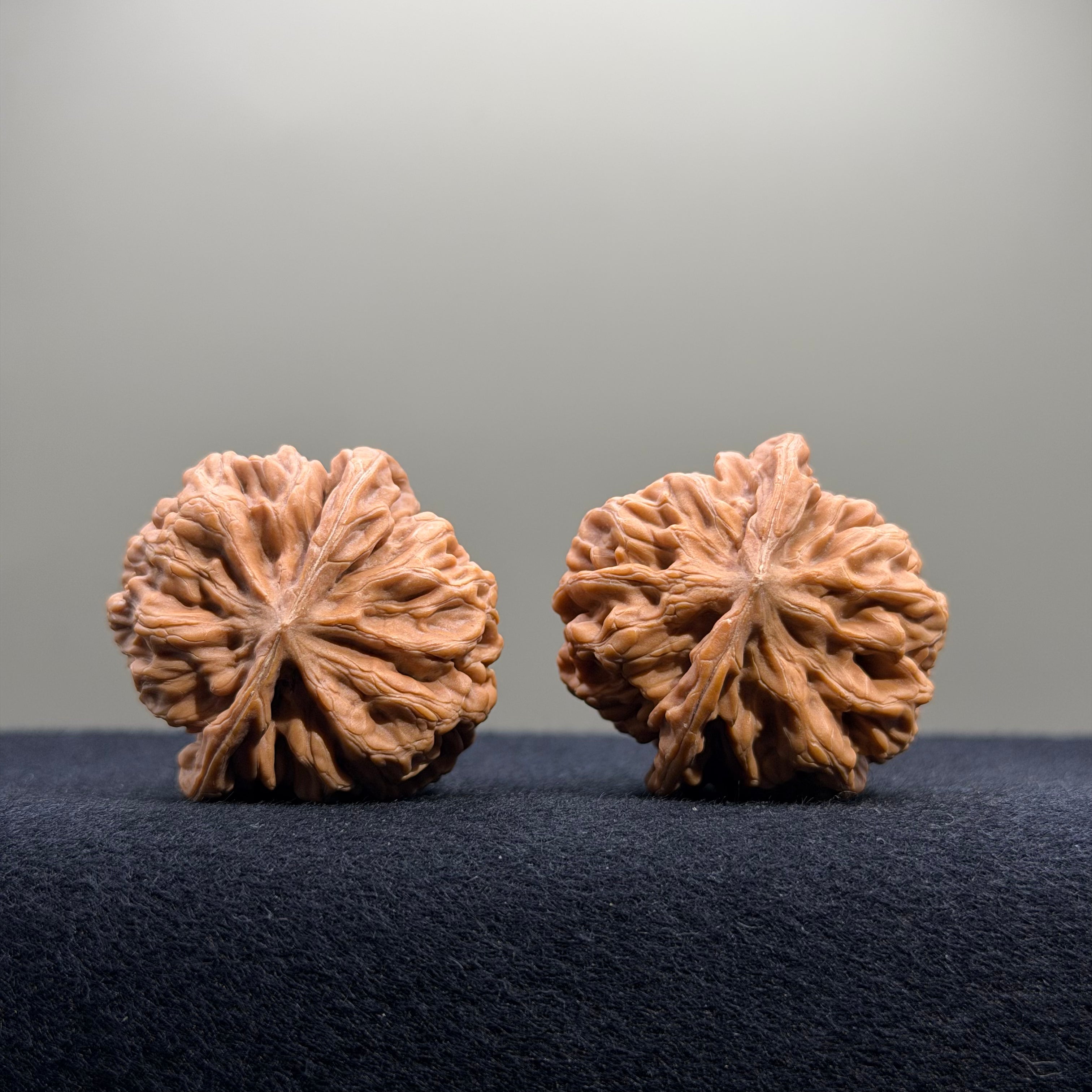 Emperor Wenwan Walnut · 35mm · Natural · Select Ritual