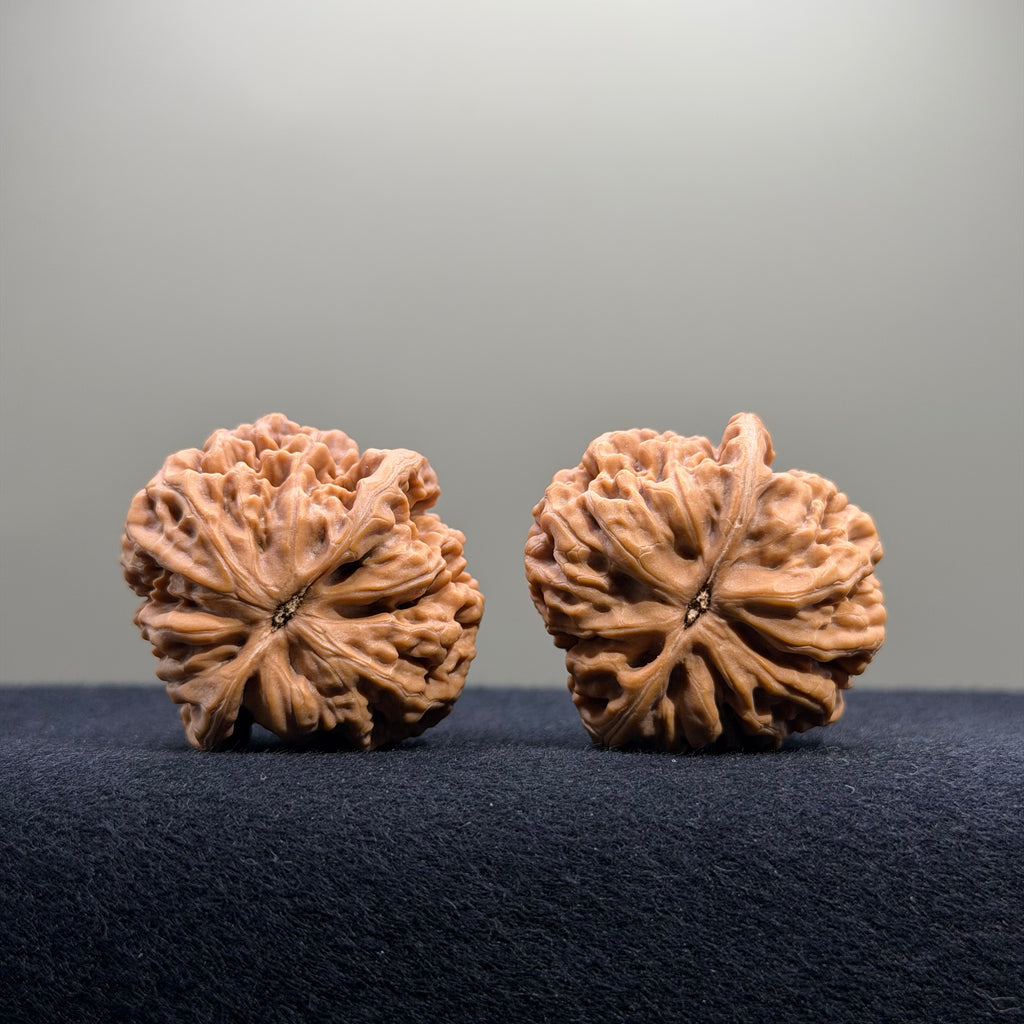 Emperor Wenwan Walnut · 35mm · Natural · Select Ritual