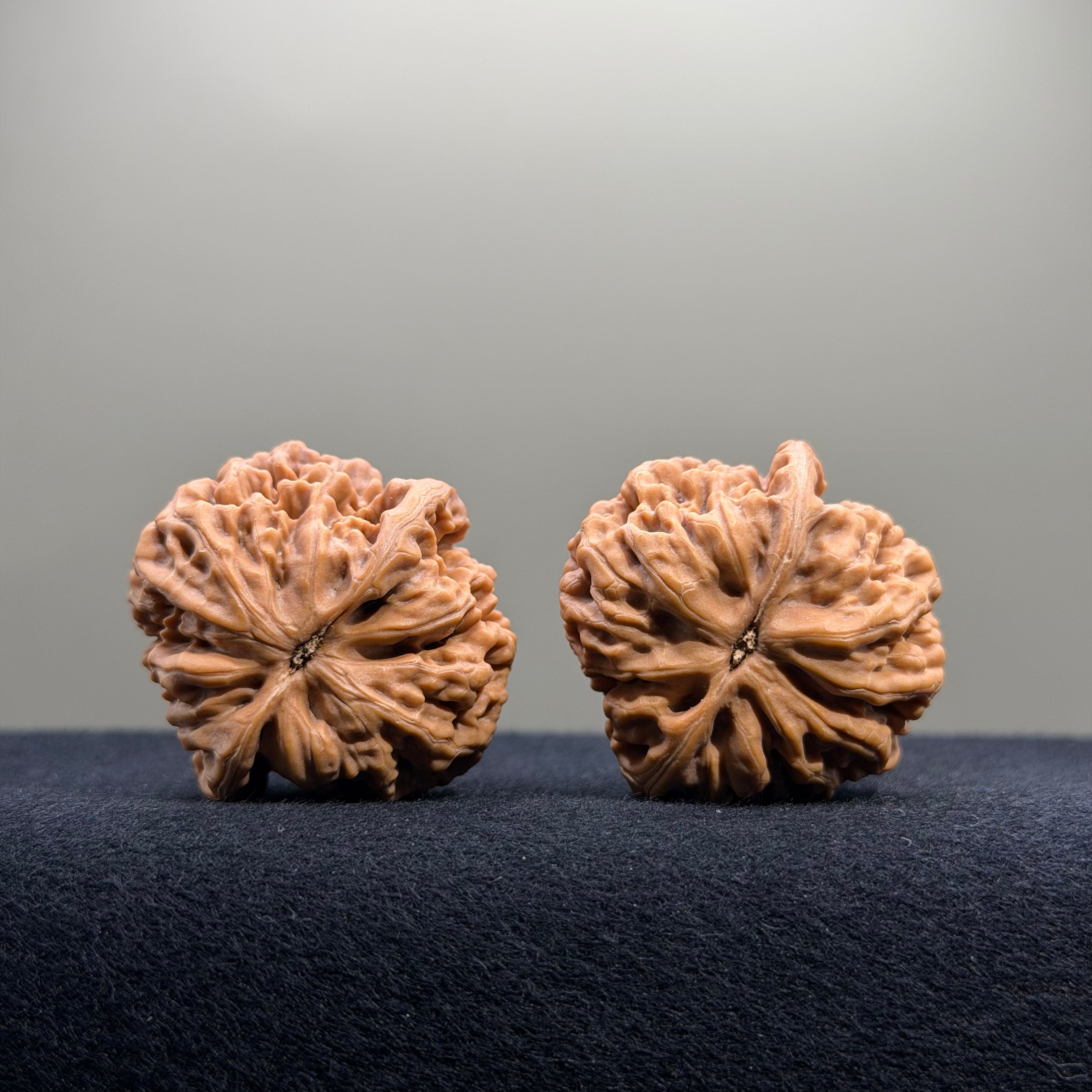 Emperor Wenwan Walnut · 35mm · Natural · Select Ritual