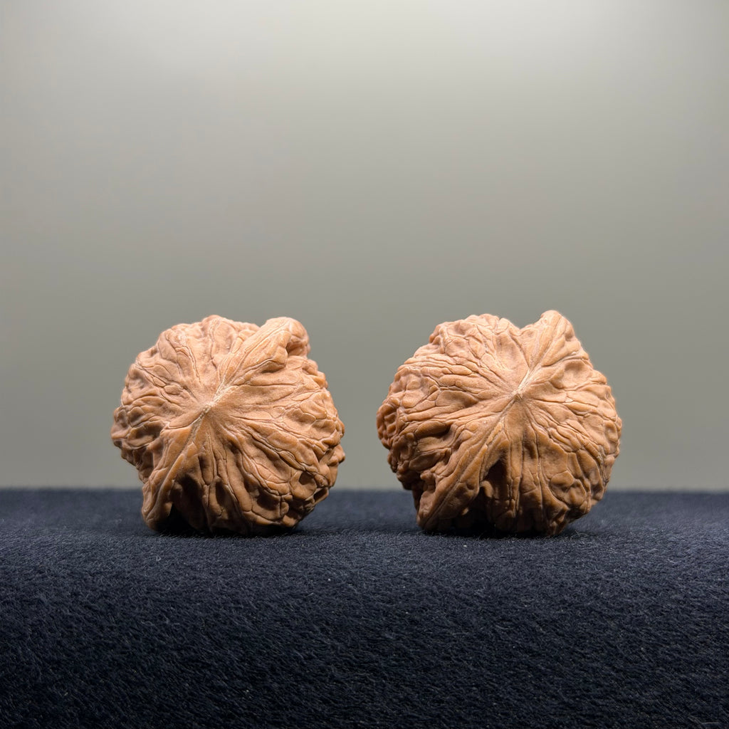 Iron Hammer Wenwan Walnut · 34mm · Natural · Entry Ritual