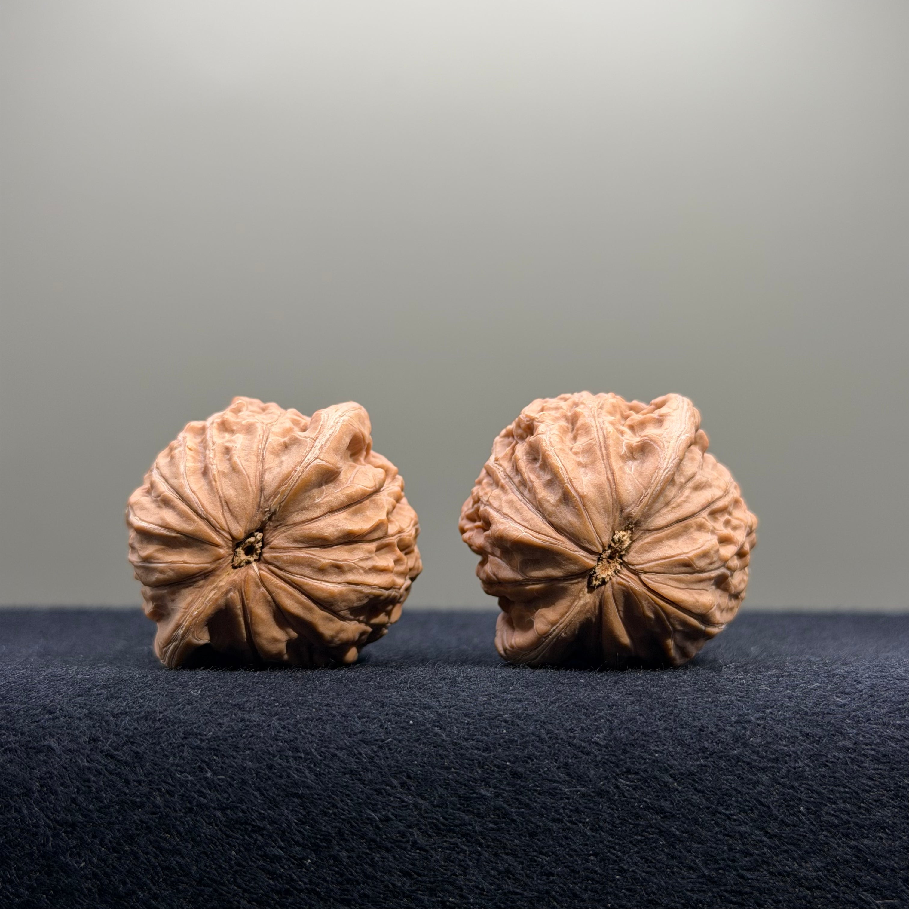 Iron Hammer Wenwan Walnut · 34mm · Natural · Entry Ritual
