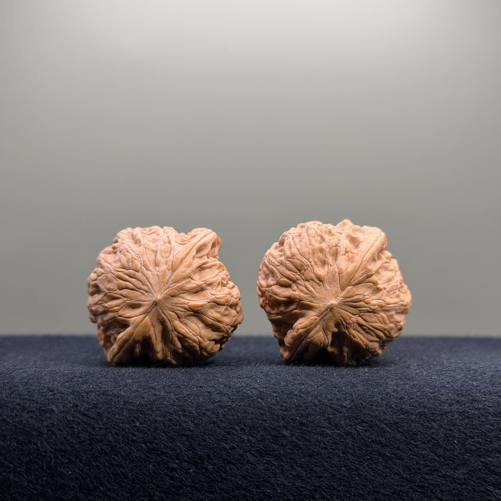 Iron Hammer Wenwan Walnut · 33mm · Natural · Entry Ritual