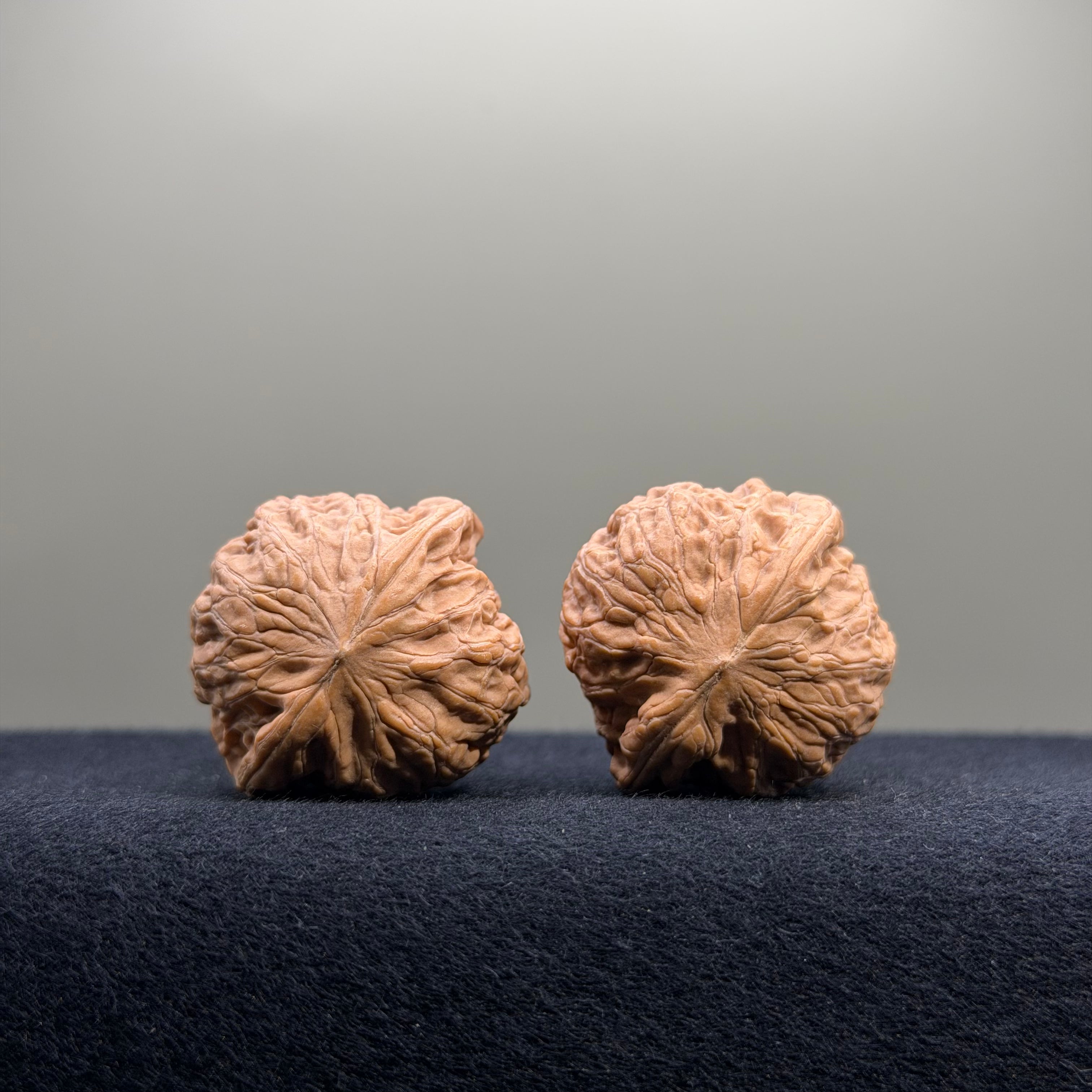 Iron Hammer Wenwan Walnut · 33mm · Natural · Entry Ritual