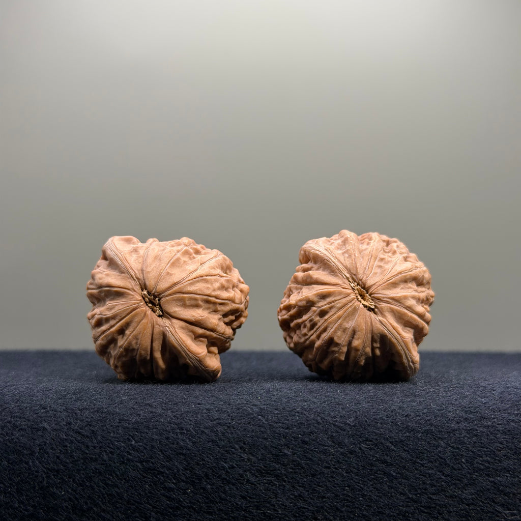 Iron Hammer Wenwan Walnut · 33mm · Natural · Entry Ritual