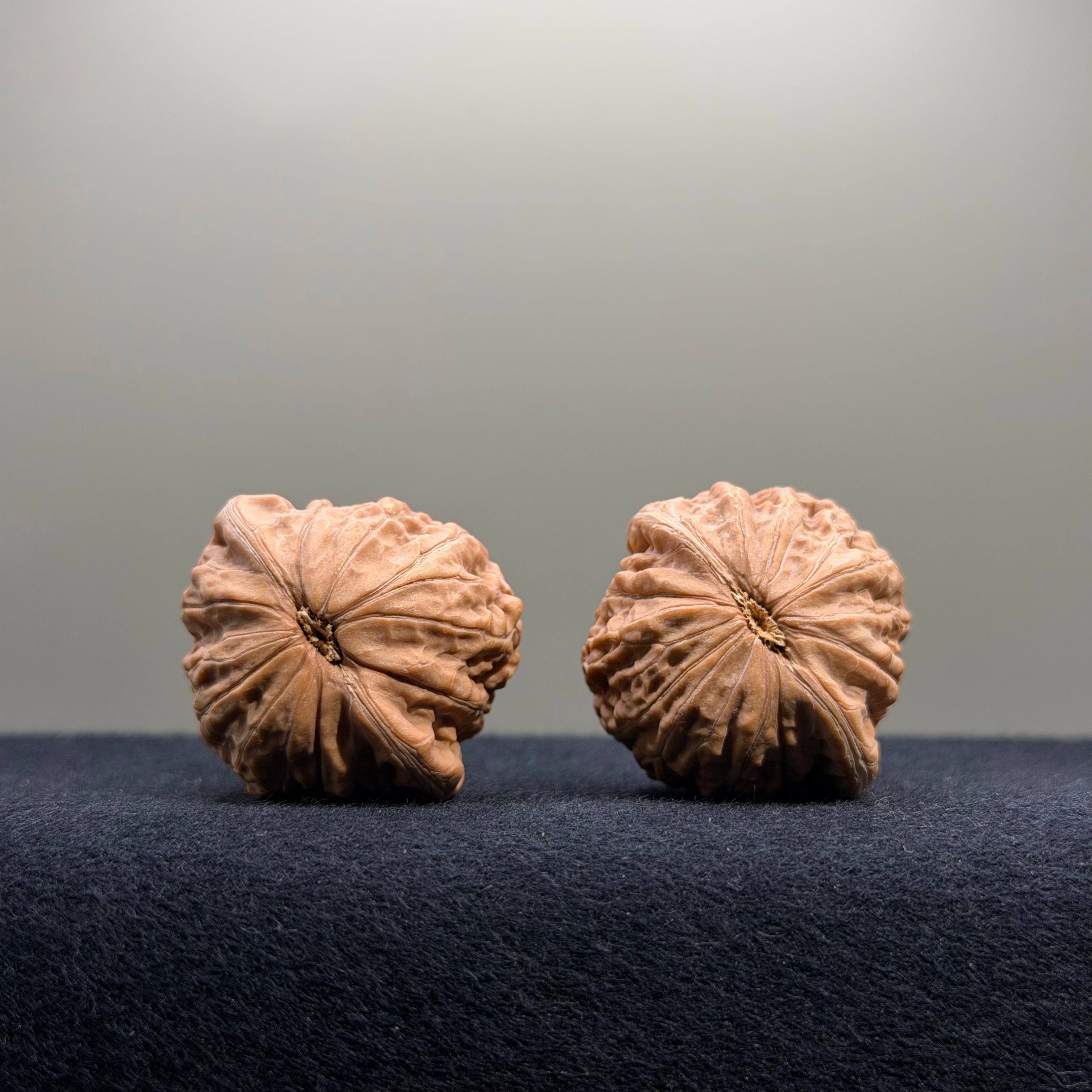Iron Hammer Wenwan Walnut · 33mm · Natural · Entry Ritual