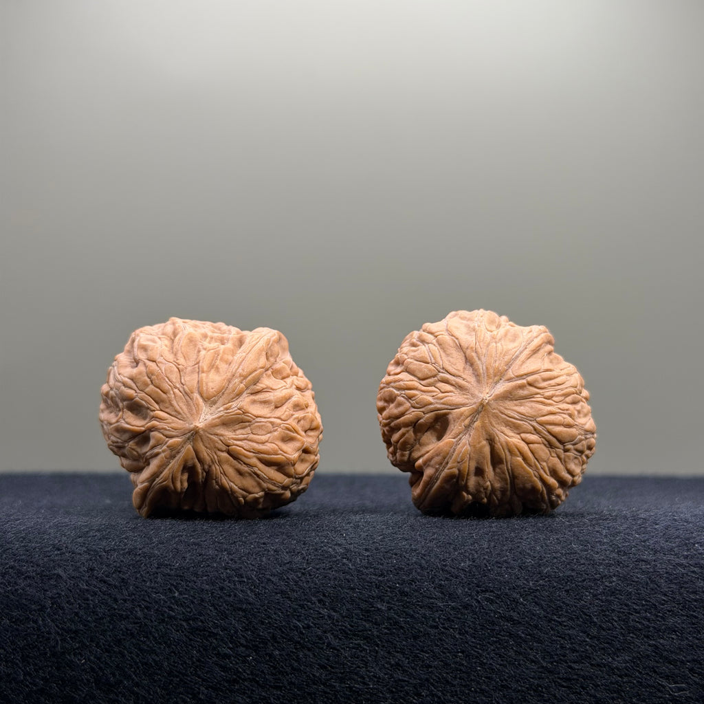 Iron Hammer Wenwan Walnut · 32mm · Natural · Entry Ritual