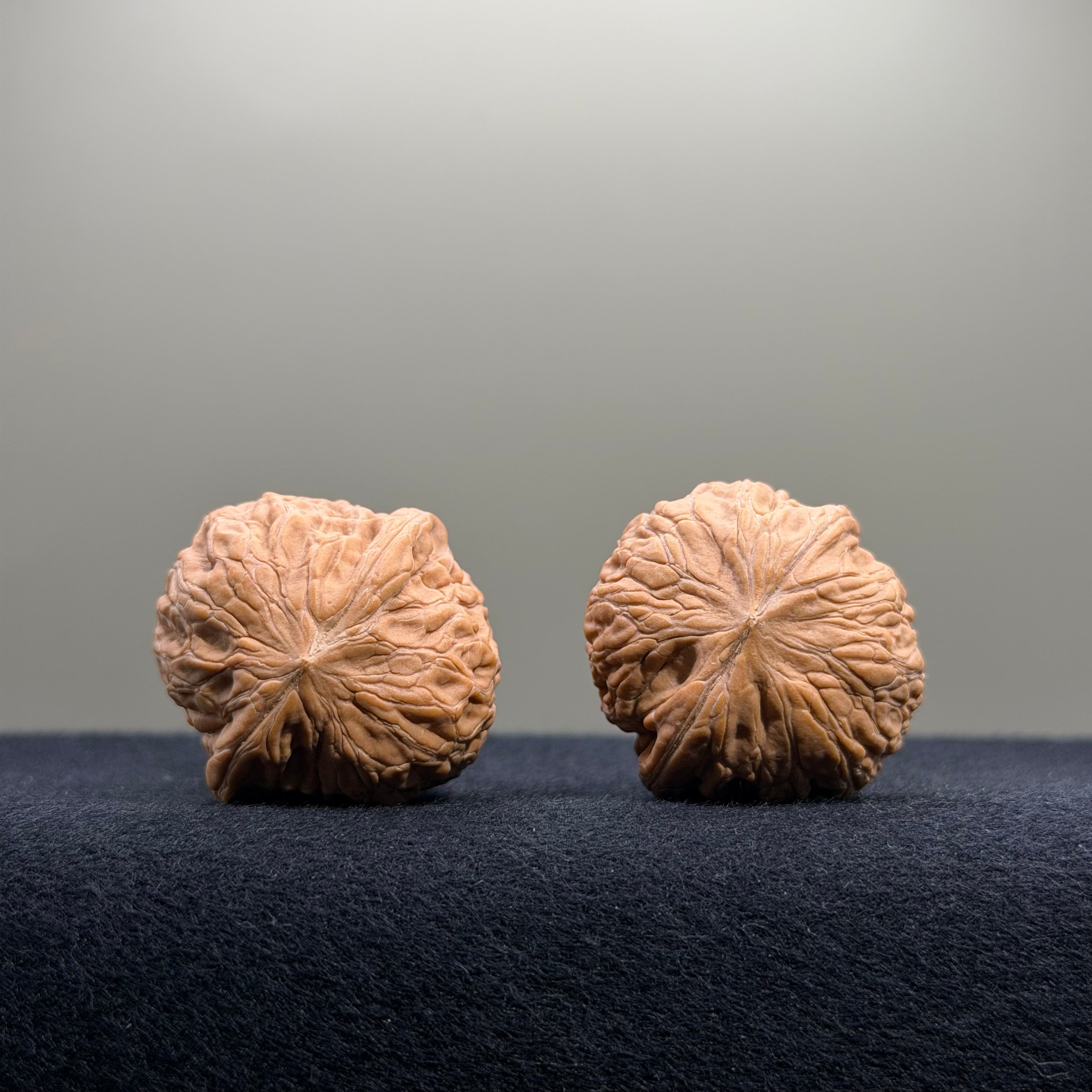 Iron Hammer Wenwan Walnut · 32mm · Natural · Entry Ritual