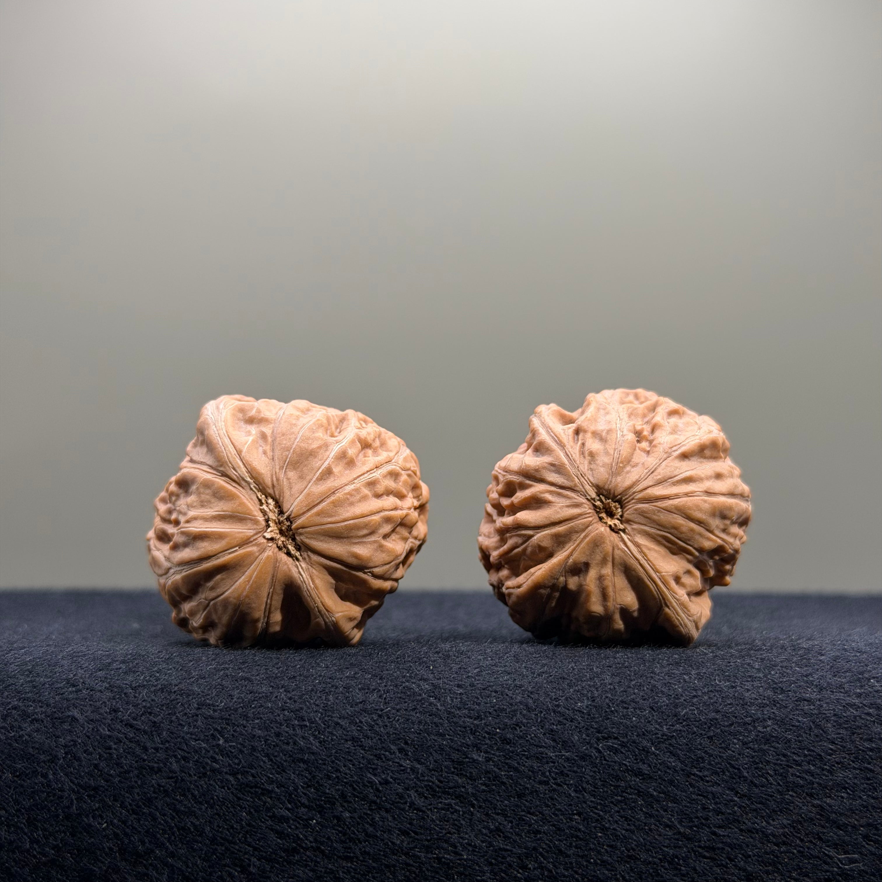Iron Hammer Wenwan Walnut · 32mm · Natural · Entry Ritual
