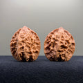 First Love Wenwan Walnut · 34mm · Natural · Entry Ritual