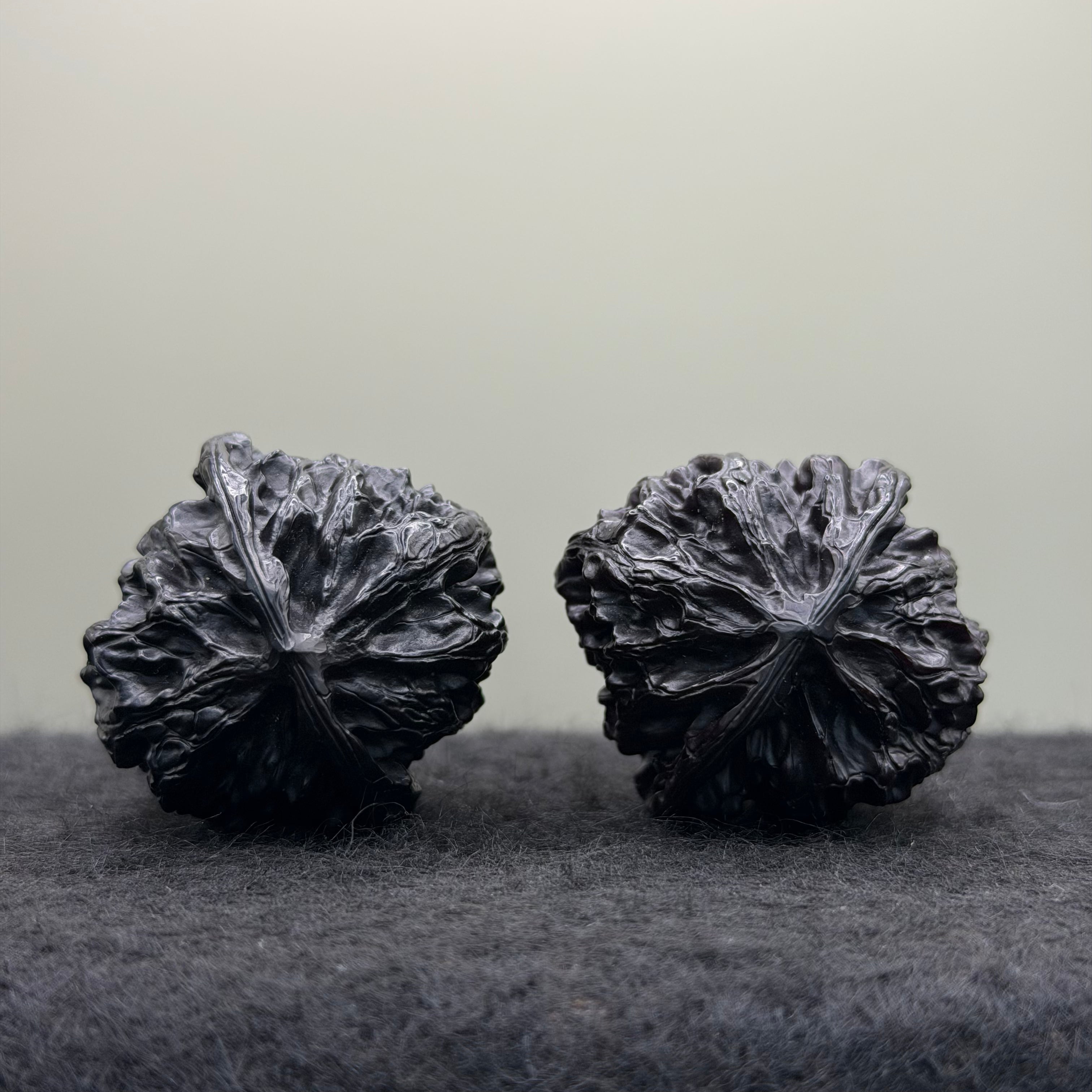 Ground-Buried Apple Orchard Wenwan Walnut