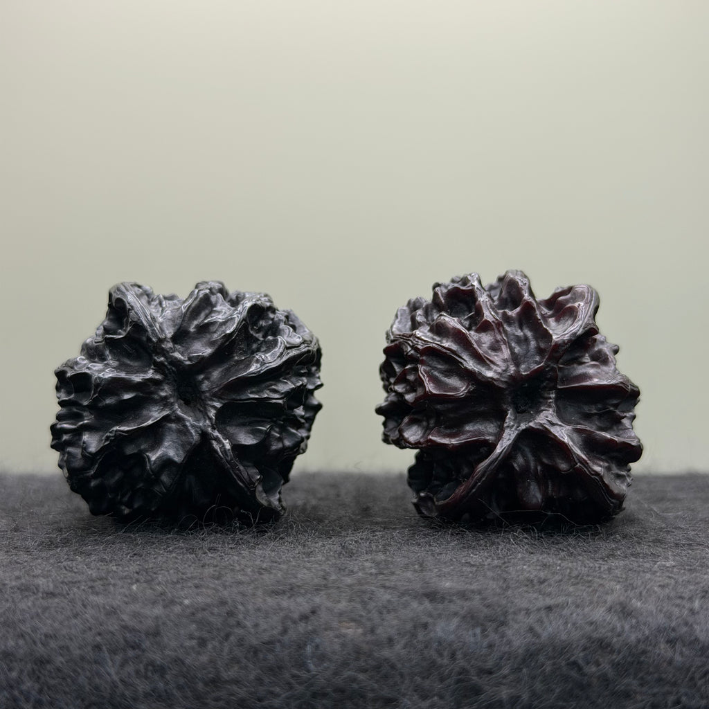 Ground-Buried Apple Orchard Wenwan Walnut