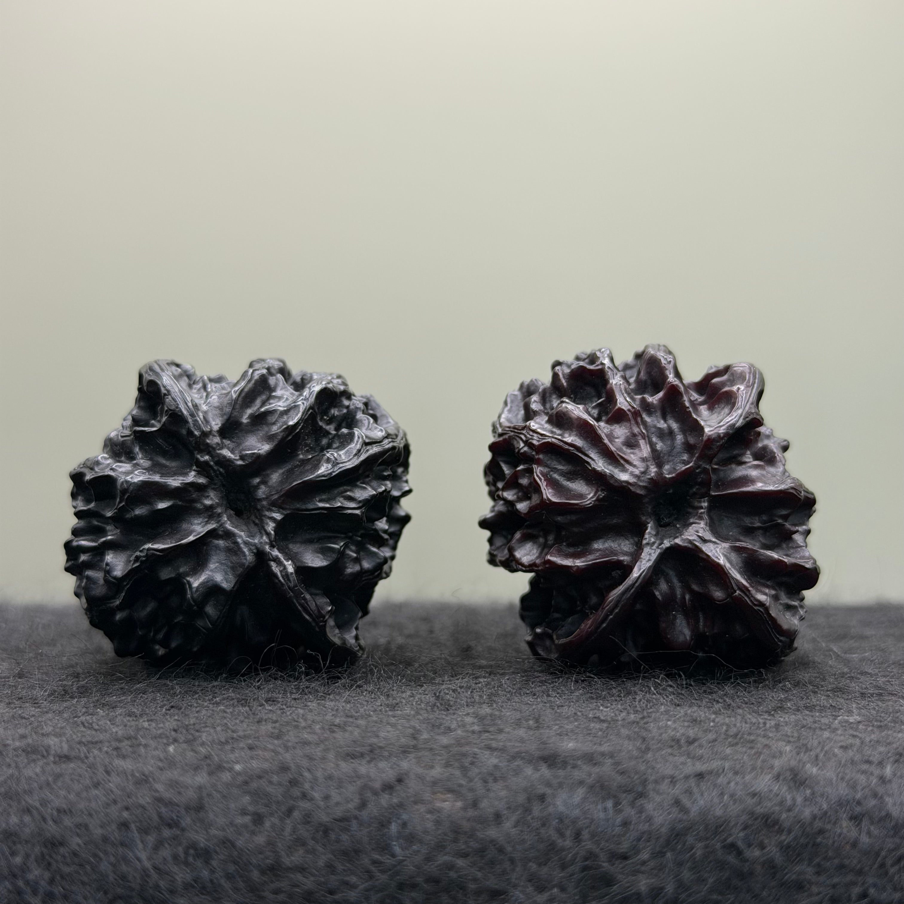 Ground-Buried Apple Orchard Wenwan Walnut