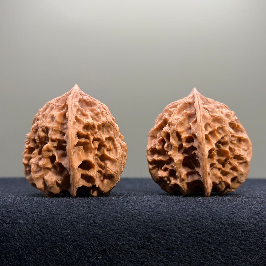 First Love Wenwan Walnut · 34mm · Natural · Entry Ritual