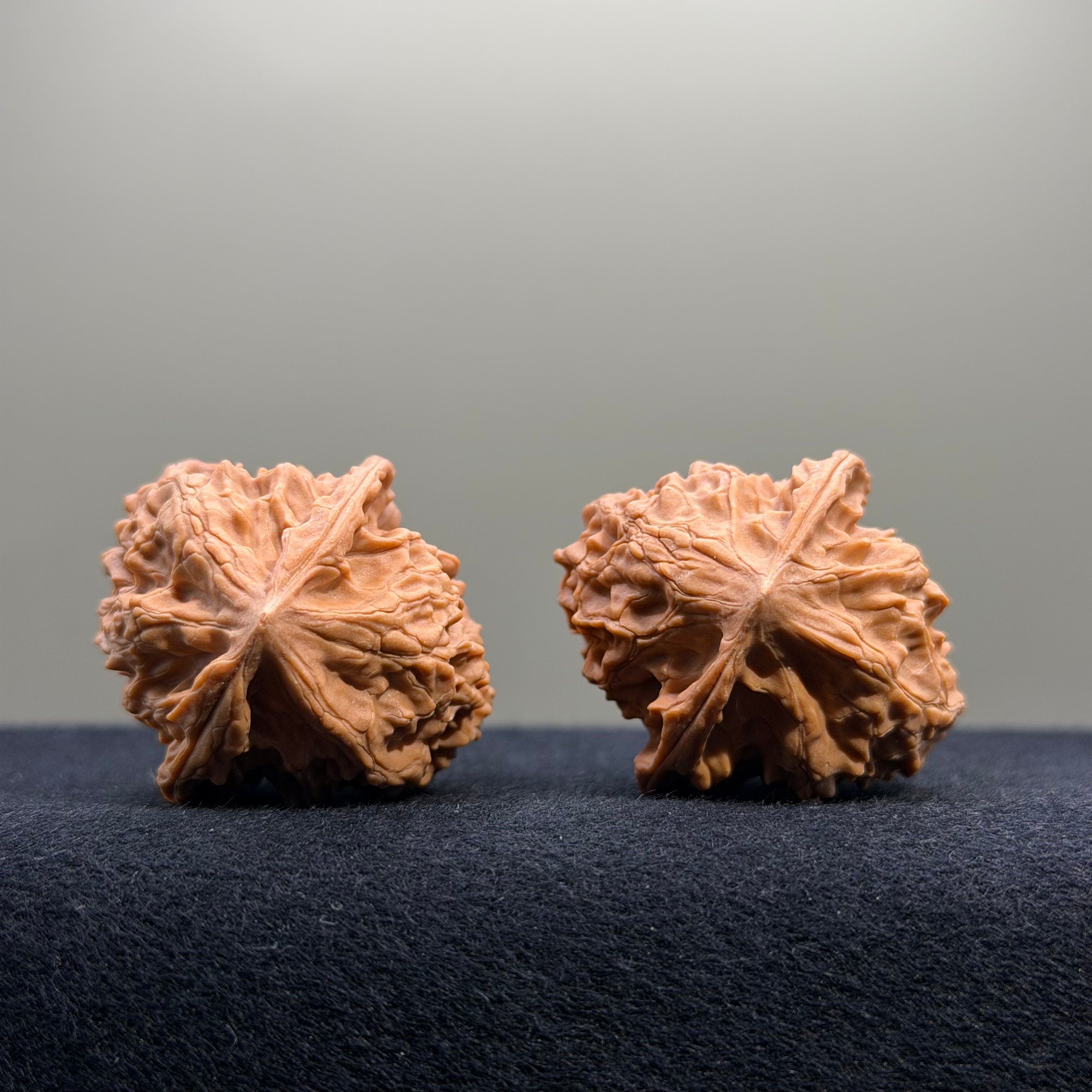 First Love Wenwan Walnut · 34mm · Natural · Entry Ritual