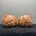 Pumpkin Lion Head Wenwan Walnut