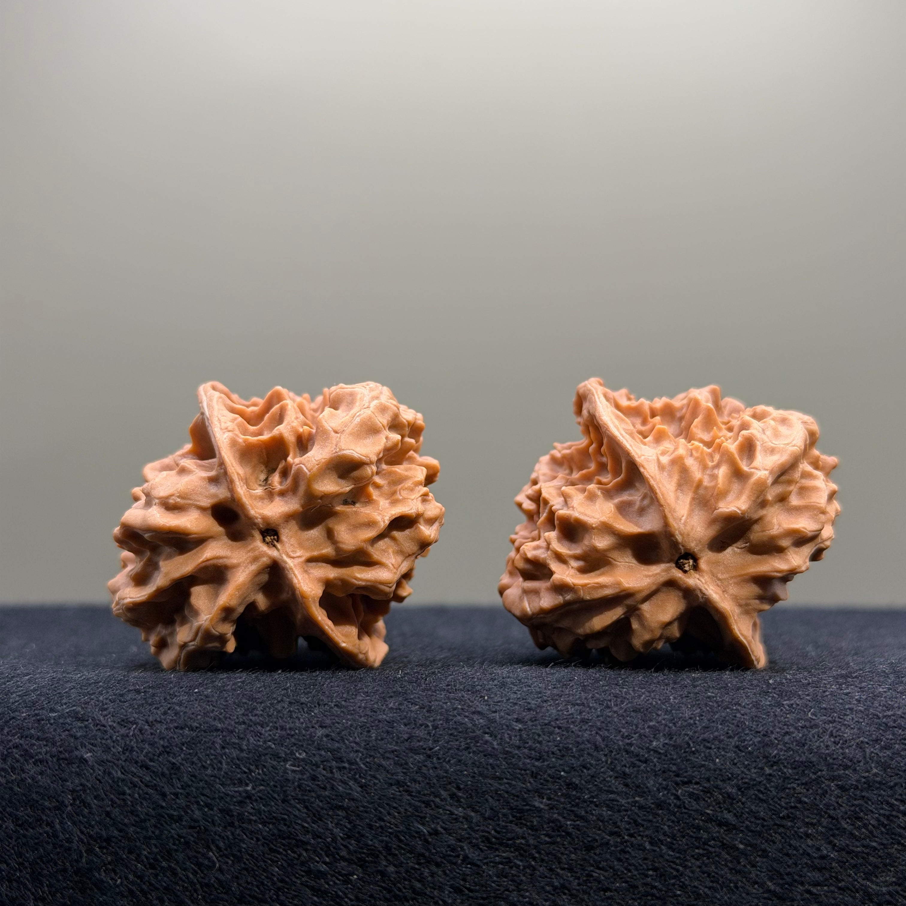 First Love Wenwan Walnut · 34mm · Natural · Entry Ritual