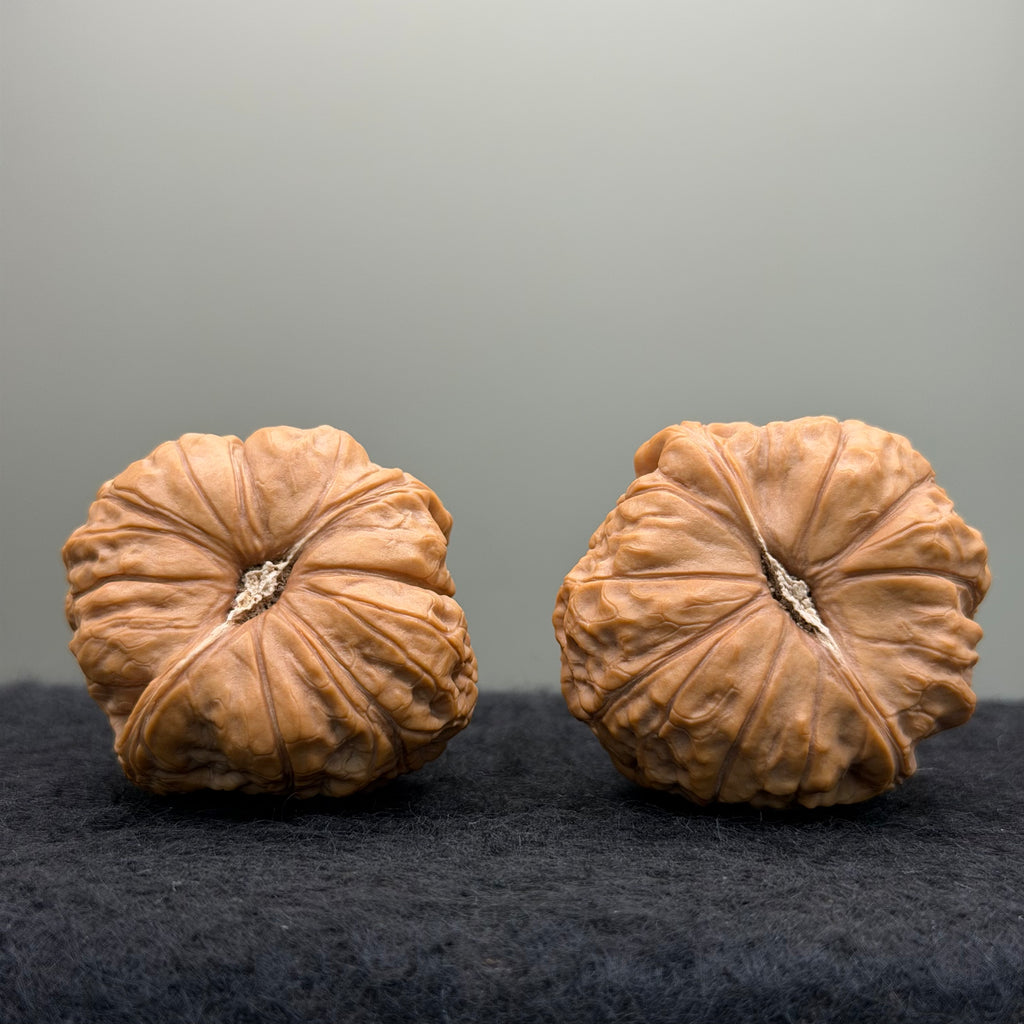 Pumpkin Lion Head Wenwan Walnut