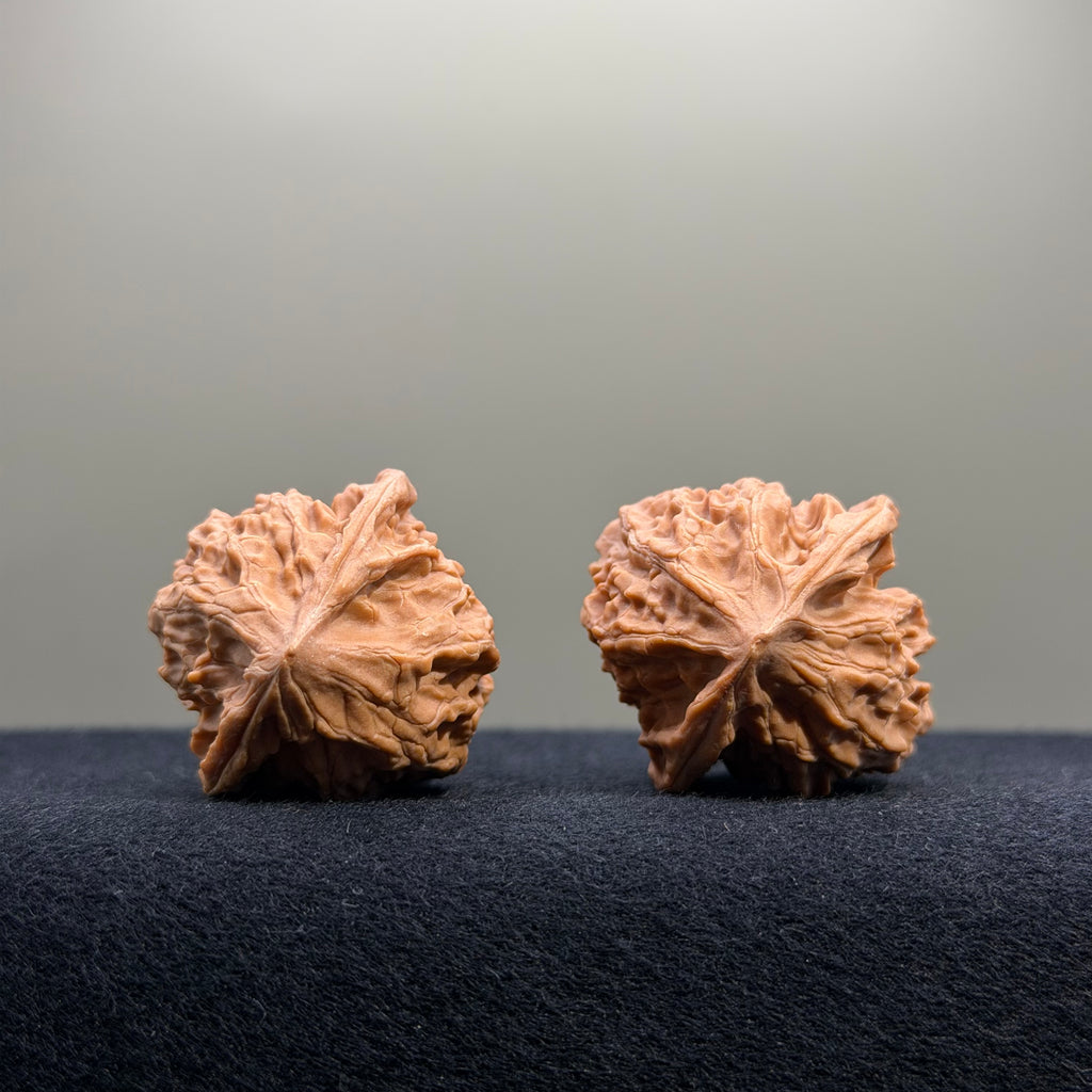 First Love Wenwan Walnut · 34mm · Natural · Entry Ritual