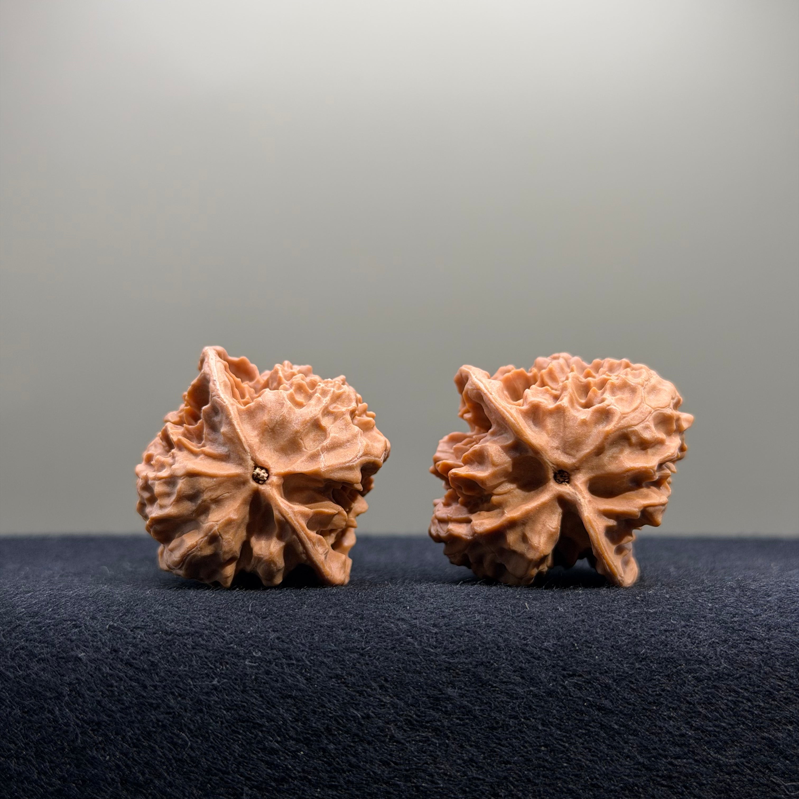 First Love Wenwan Walnut · 34mm · Natural · Entry Ritual
