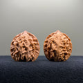 First Love Wenwan Walnut · 32mm · Natural · Entry Ritual