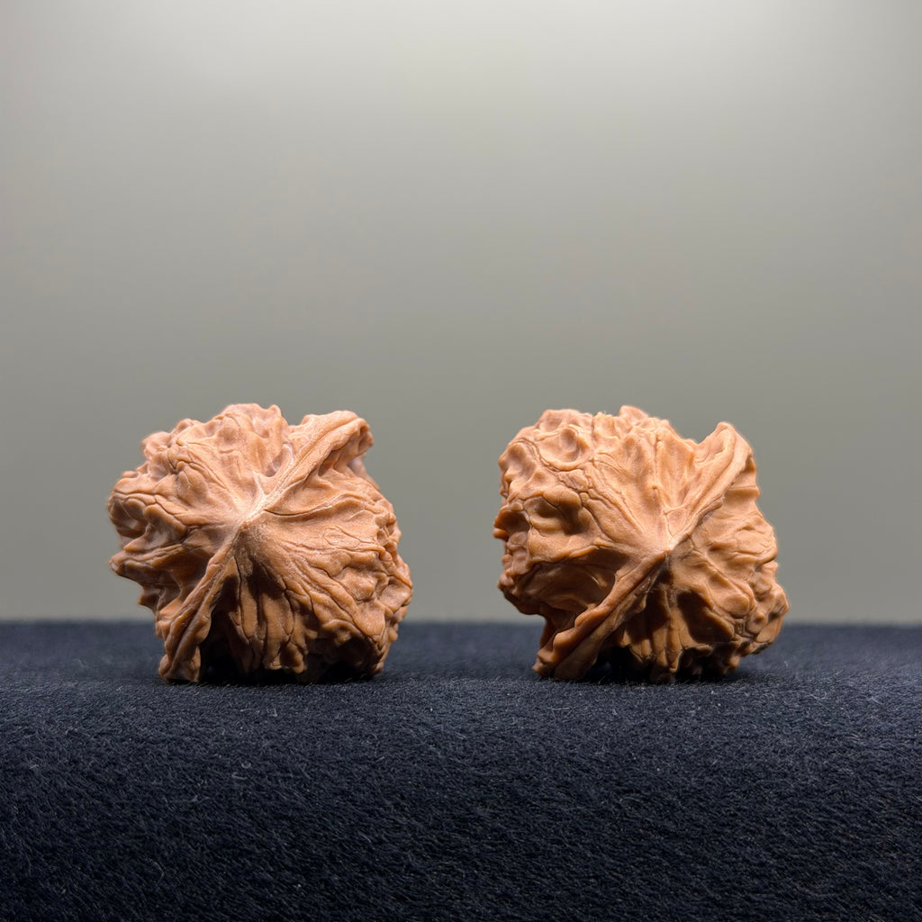 First Love Wenwan Walnut · 32mm · Natural · Entry Ritual