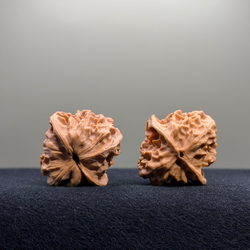 First Love Wenwan Walnut · 32mm · Natural · Entry Ritual