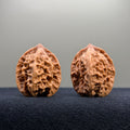 First Love Wenwan Walnut · 32mm · Natural · Entry Ritual