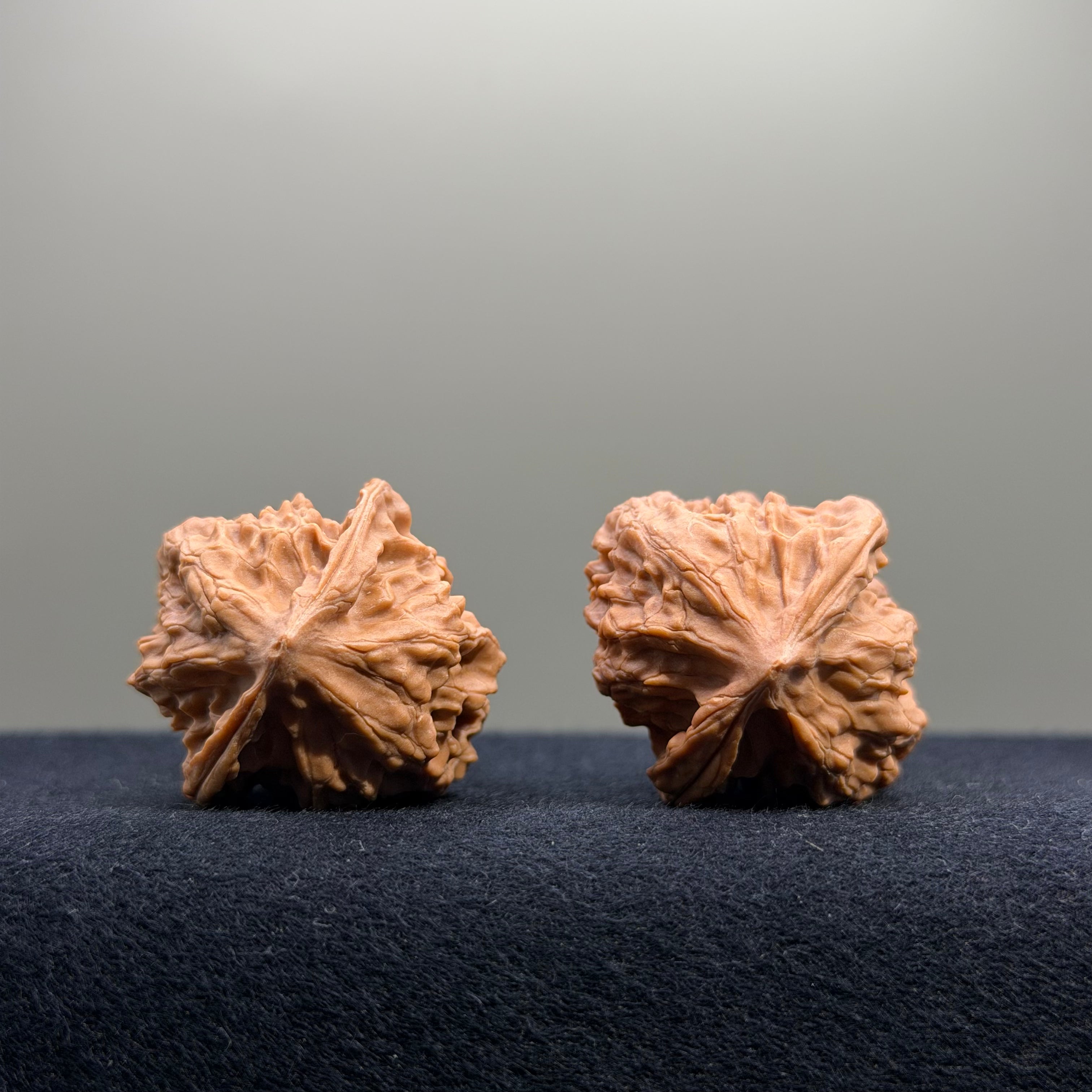 First Love Wenwan Walnut · 32mm · Natural · Entry Ritual