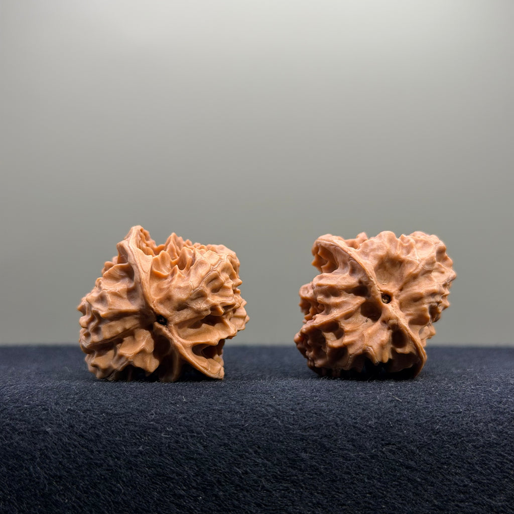 First Love Wenwan Walnut · 32mm · Natural · Entry Ritual
