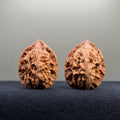 First Love Wenwan Walnut · 32mm · Natural · Entry Ritual