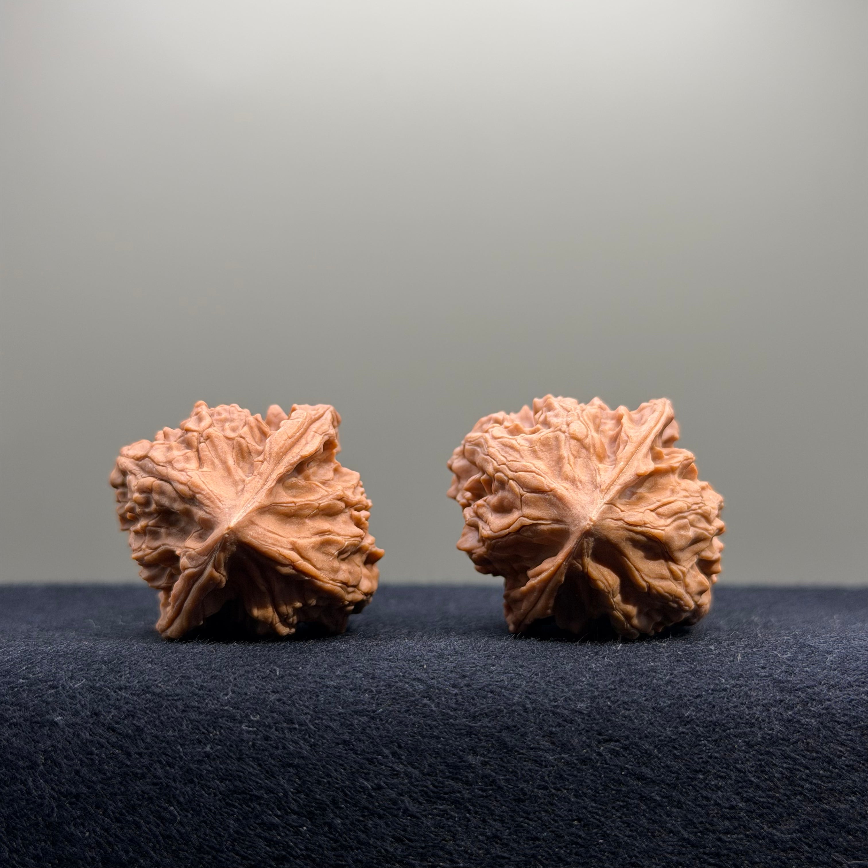 First Love Wenwan Walnut · 32mm · Natural · Entry Ritual