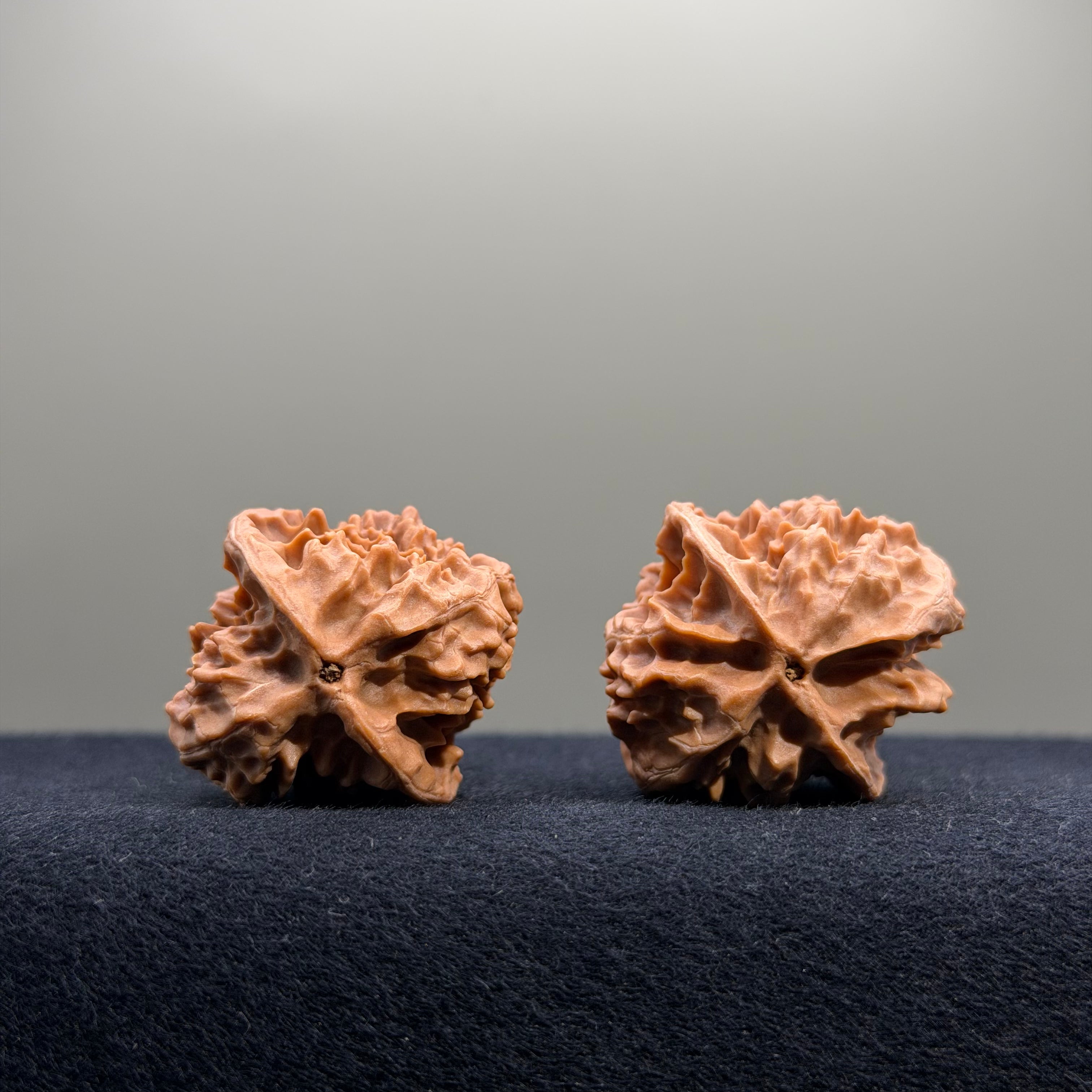 First Love Wenwan Walnut · 32mm · Natural · Entry Ritual