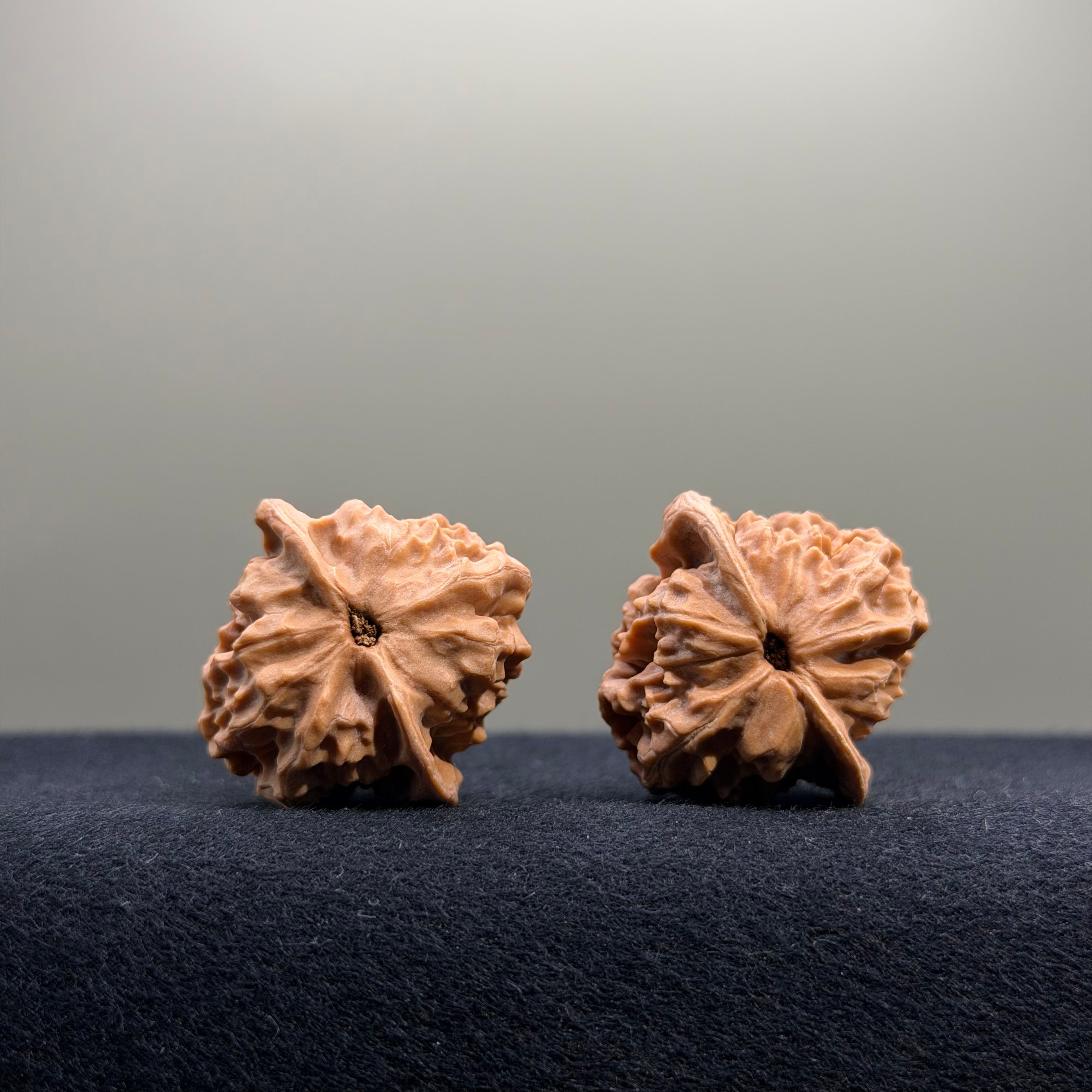 First Love Wenwan Walnut · 30mm · Natural · Entry Ritual