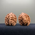 First Love Wenwan Walnut · 33mm · Natural · Entry Ritual